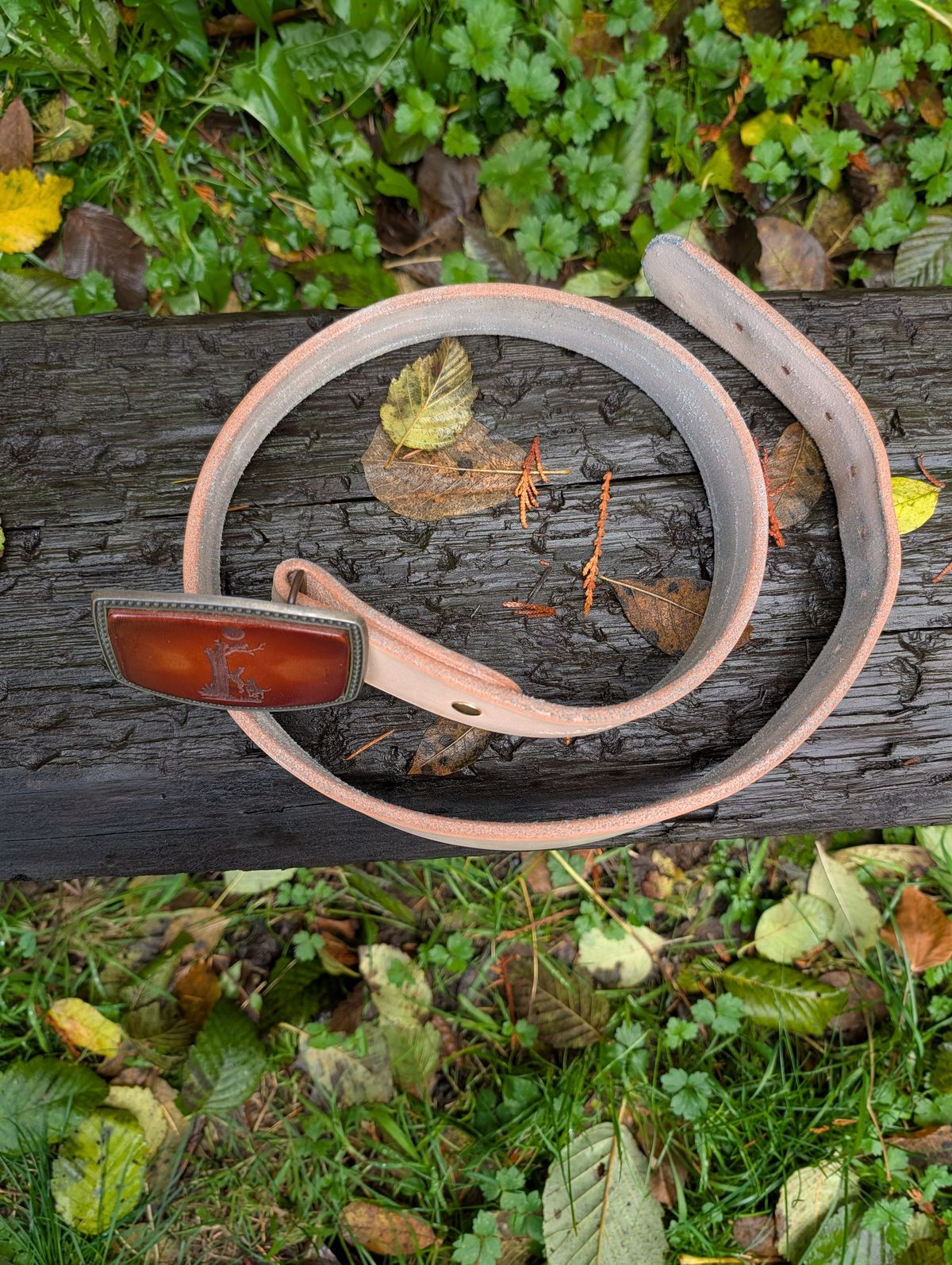 Photo by a_wolfgang on November 1, 2025 of the Nicks Belt in Nicks / Natural Heavy Duty.