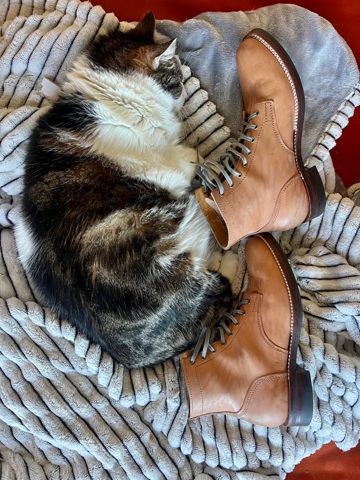 Photo by Solis on December 5, 2025 of the Oldspeed MFG Service Boot 6” in Horween Russet Horsehide Strips.