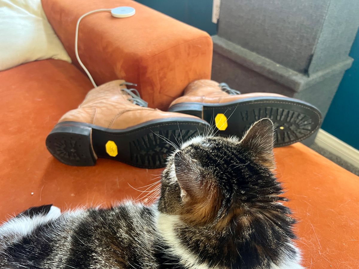 Photo by Solis on January 5, 2026 of the Oldspeed MFG Service Boot 6” in Horween Russet Horsehide Strips.