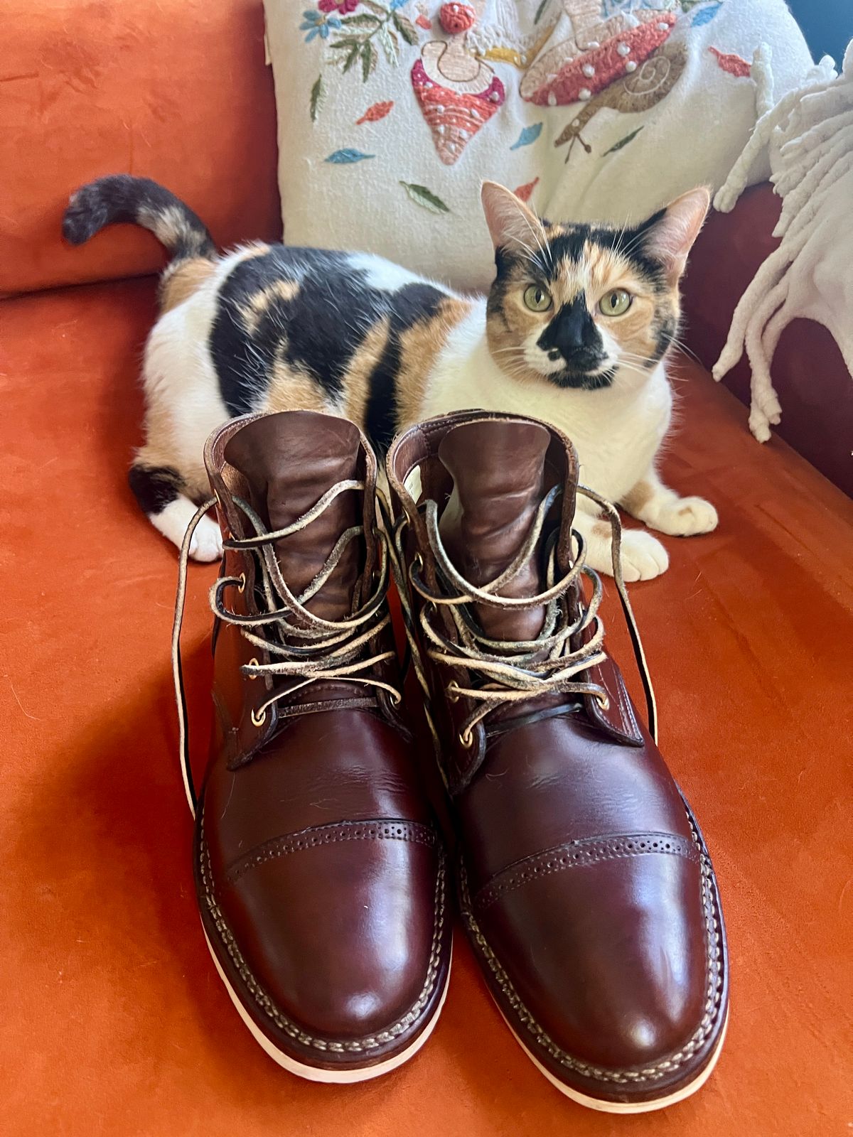 Photo by Solis on October 5, 2025 of the Viberg Service Boot in Horween Brown Chromexcel.