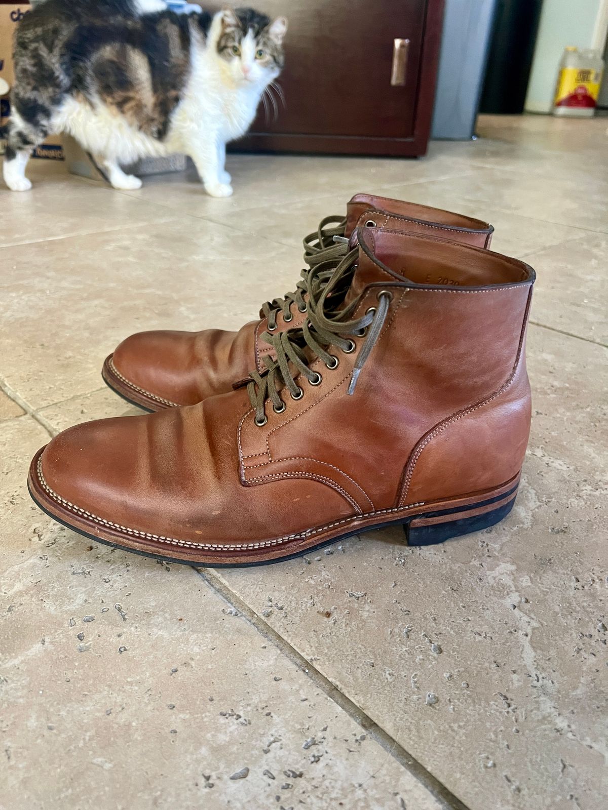 Photo by Solis on January 5, 2025 of the Viberg Service Boot in Maryam Col. 1060 TPR Horsebutt.