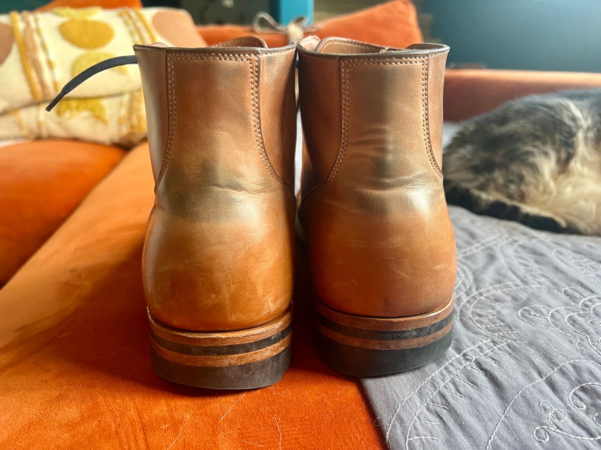 Photo by Solis on March 3, 2025 of the Viberg Service Boot in Maryam Col. 1060 TPR Horsebutt.
