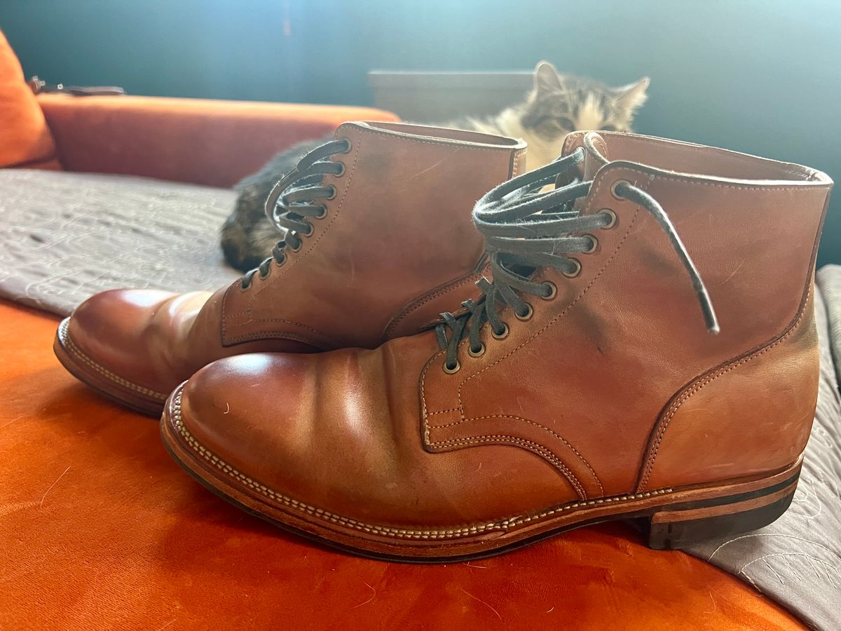 Photo by Solis on March 3, 2025 of the Viberg Service Boot in Maryam Col. 1060 TPR Horsebutt.