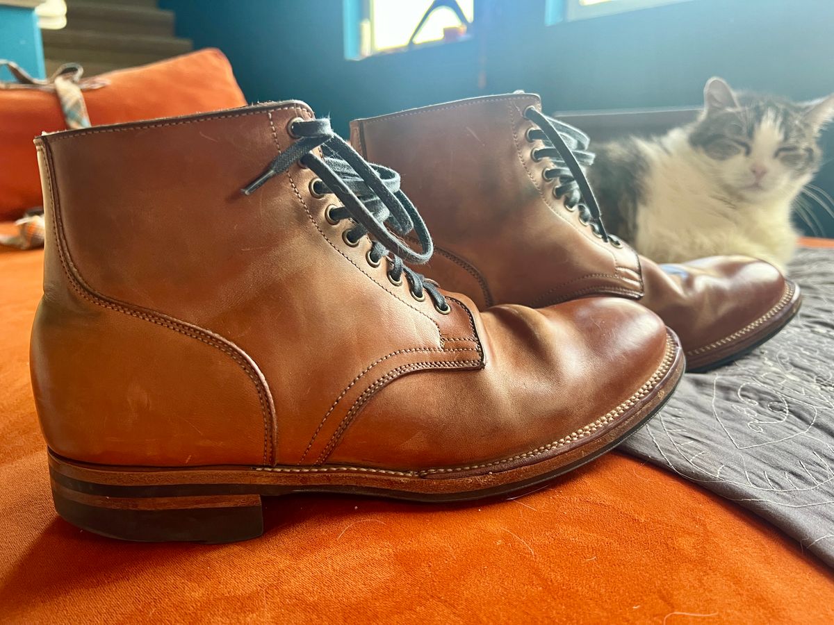 Photo by Solis on March 3, 2025 of the Viberg Service Boot in Maryam Col. 1060 TPR Horsebutt.