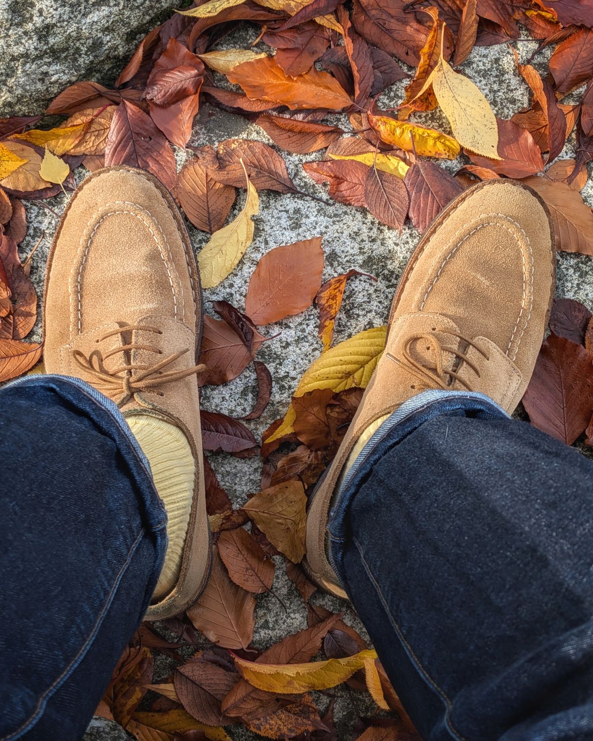 Photo by booty on November 11, 2025 of the Drake's Suede Chard Derby in Suede.