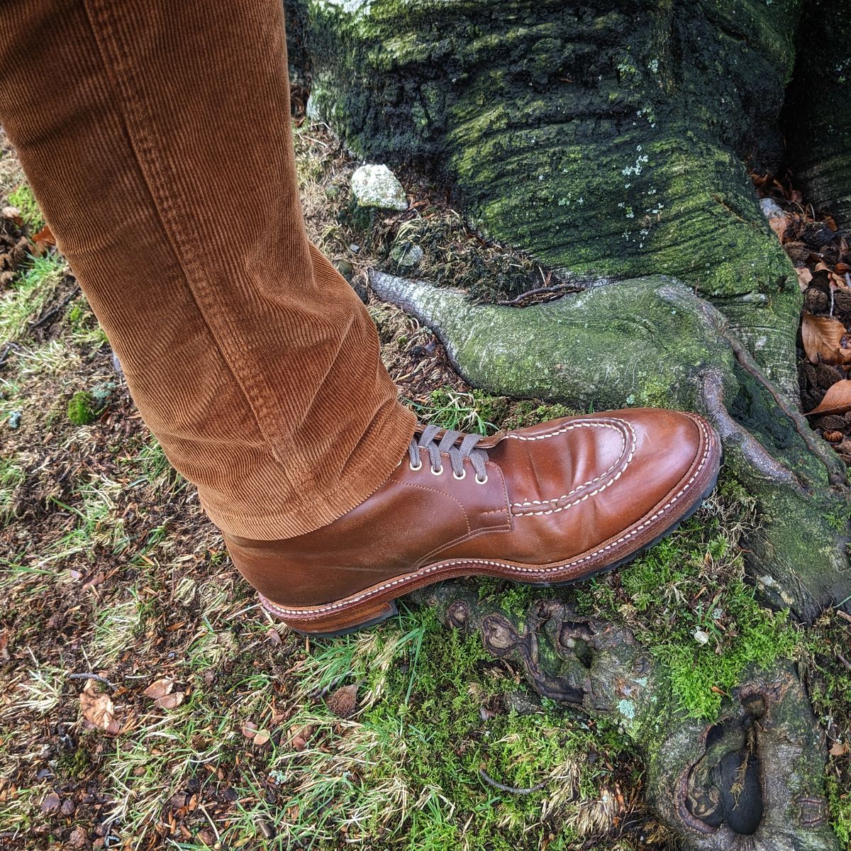 Photo by booty on December 23, 2024 of the Joe Works Shoemaker Apron Derby in Shinki Whisky Shell Cordovan.