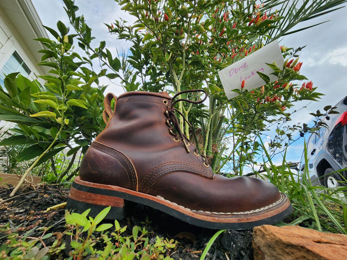 Photo by Yellowfin2na on November 1, 2025 of the Nicks Falcon in Horween Orange Predator.