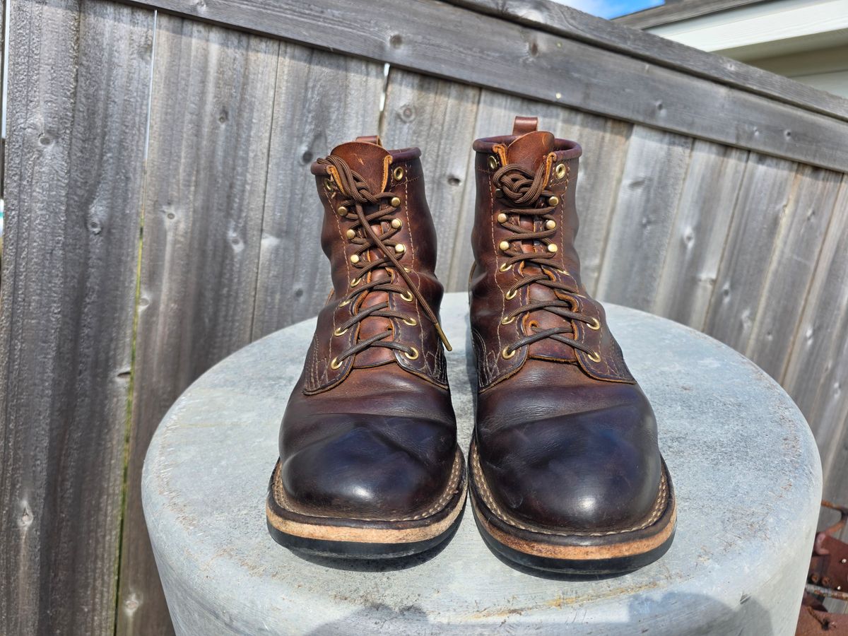 Photo by Yellowfin2na on March 2, 2026 of the Nicks Falcon in Horween Orange Predator.