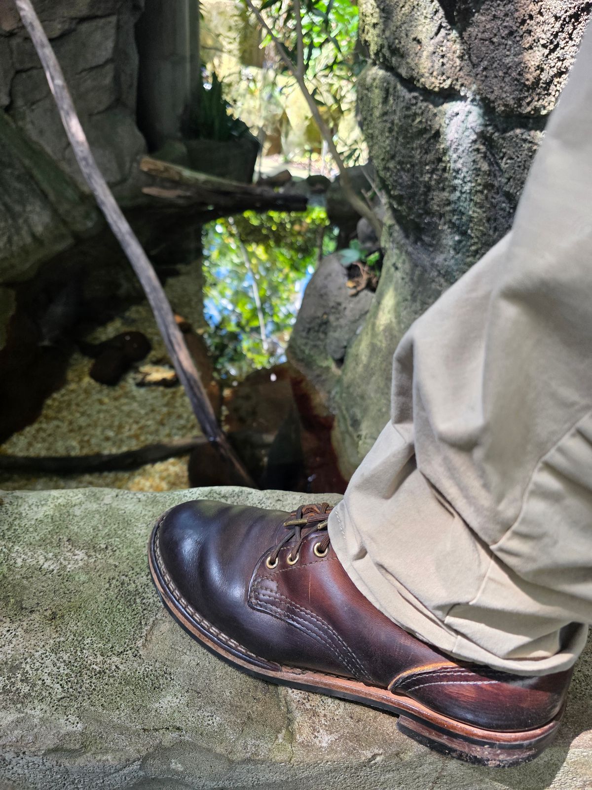 Photo by Yellowfin2na on March 14, 2026 of the Nicks Falcon in Horween Orange Predator.