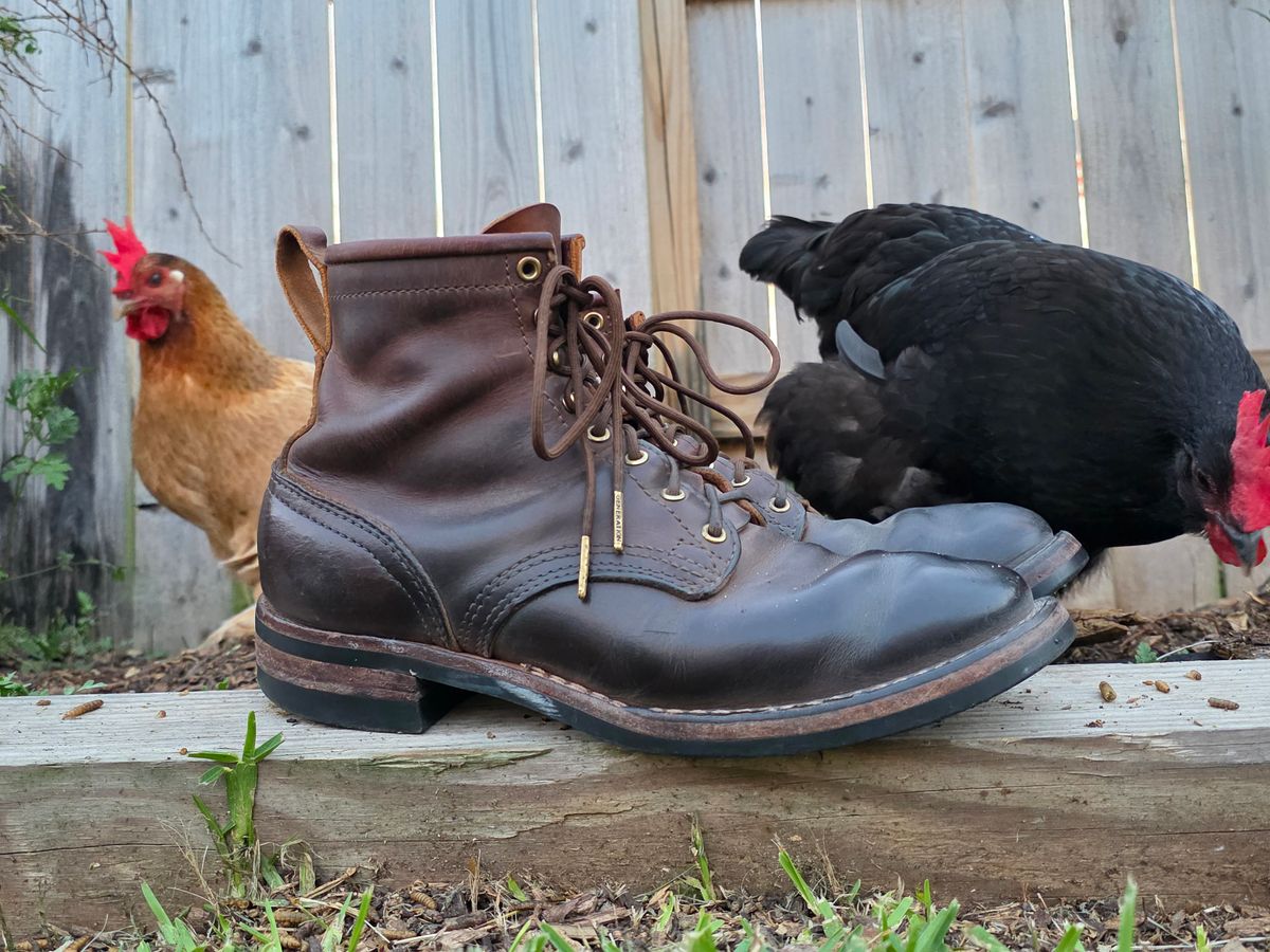 Photo by Yellowfin2na on March 25, 2026 of the Nicks Falcon in Horween Orange Predator.