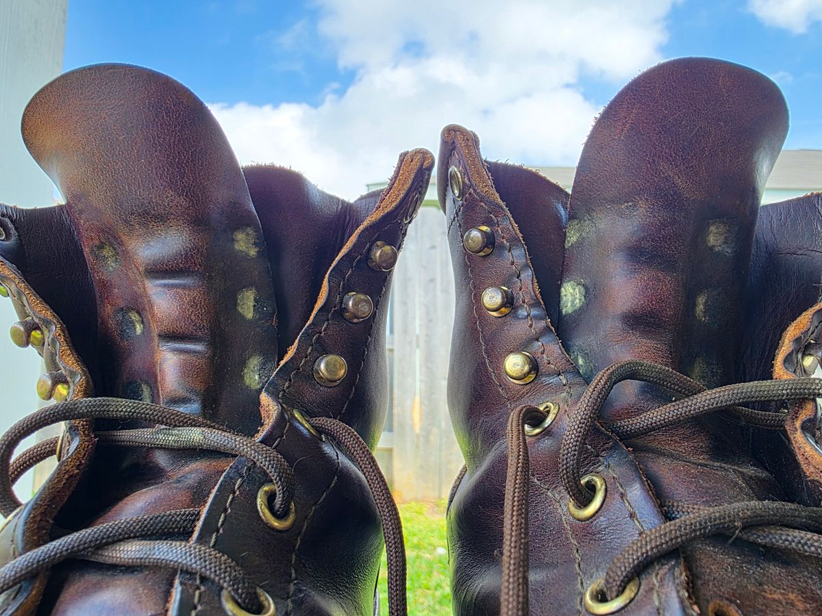 Photo by Yellowfin2na on March 30, 2026 of the Nicks Falcon in Horween Orange Predator.