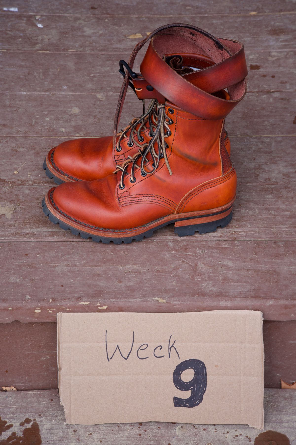 Photo by tr0n84 on December 5, 2025 of the Self-Made Belt in Unknown Natural Veg Tan.