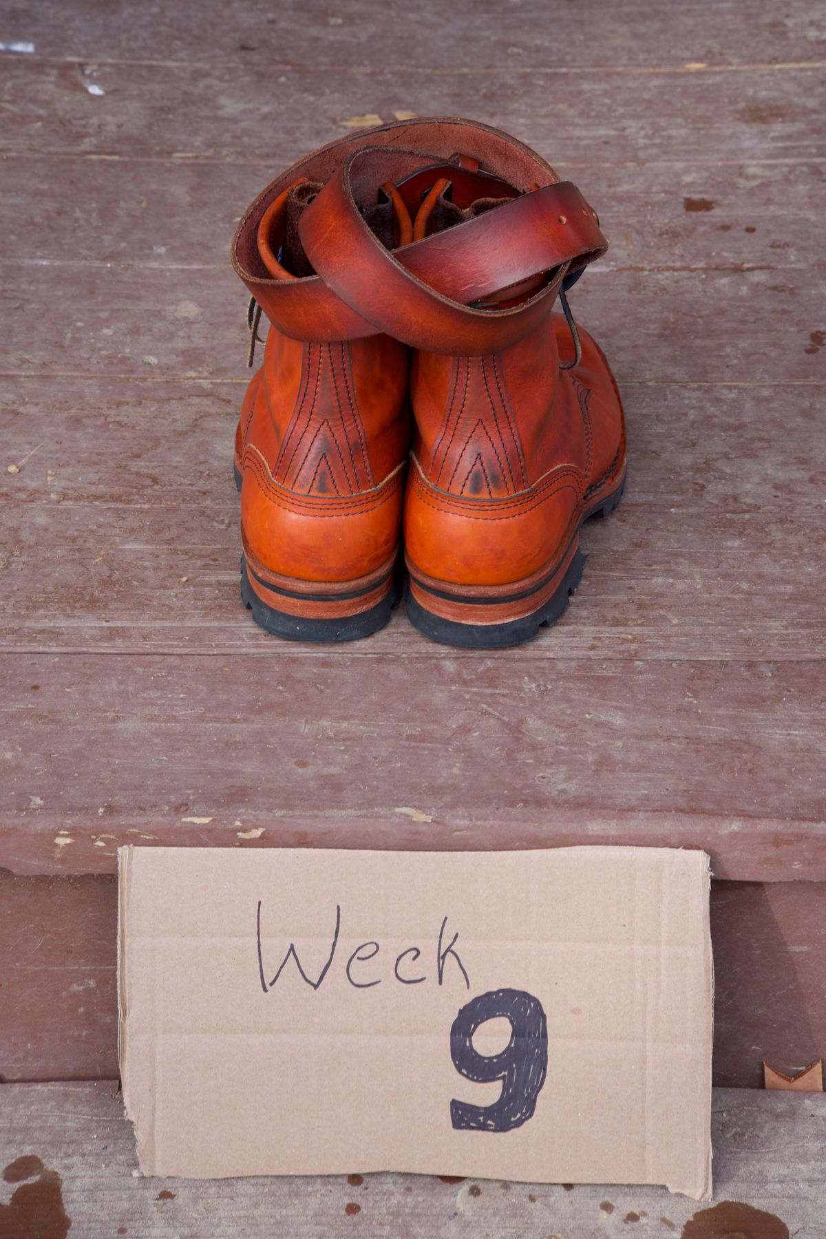 Photo by tr0n84 on December 5, 2025 of the Self-Made Belt in Unknown Natural Veg Tan.