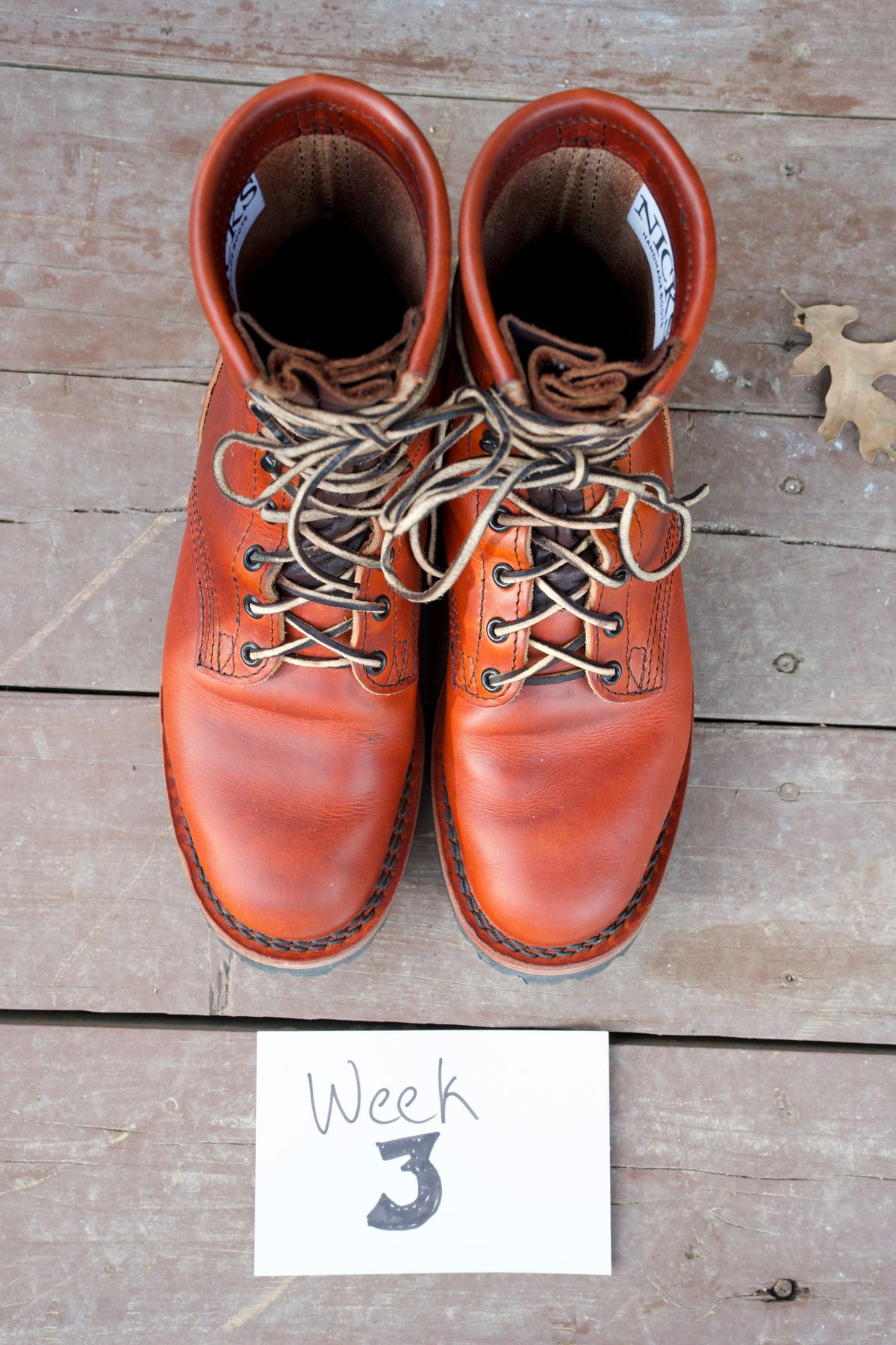 Photo by tr0n84 on October 23, 2025 of the Nicks MTO in Wickett & Craig DS Burnt Sienna.