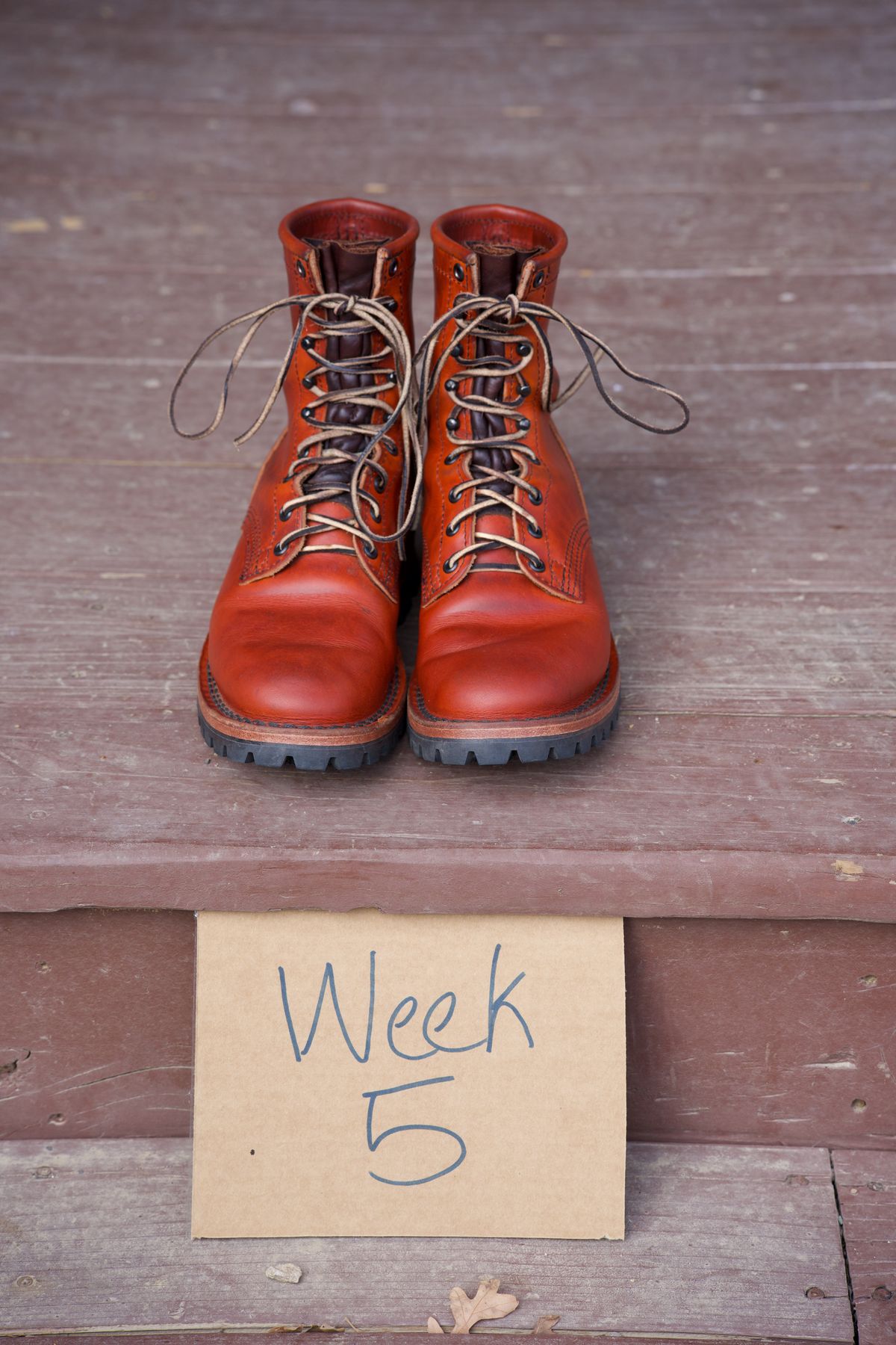 Photo by tr0n84 on November 8, 2025 of the Nicks MTO in Wickett & Craig DS Burnt Sienna.