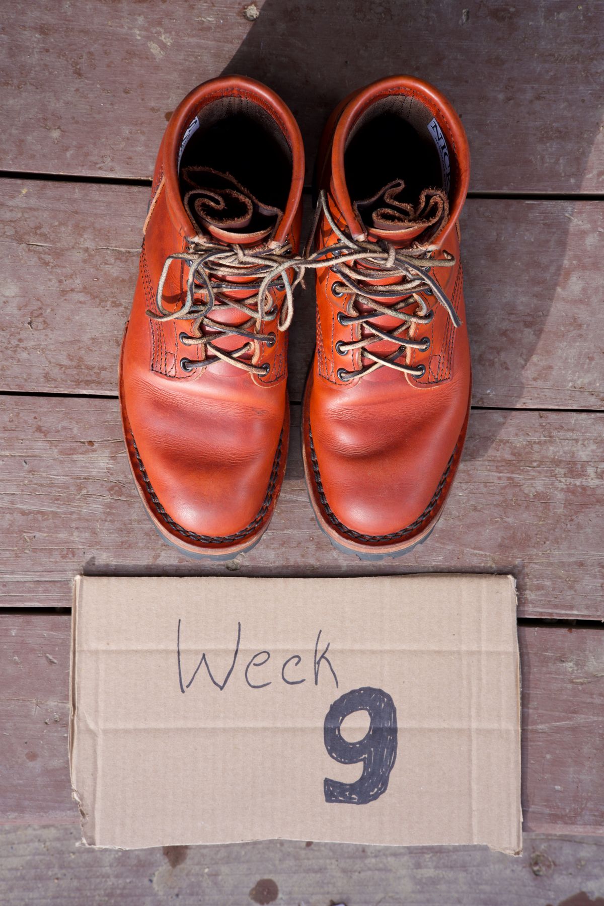 Photo by tr0n84 on December 5, 2025 of the Nicks MTO in Wickett & Craig DS Burnt Sienna.