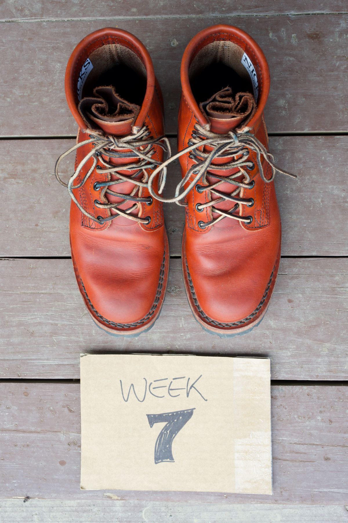 Photo by tr0n84 on November 25, 2025 of the Nicks MTO in Wickett & Craig DS Burnt Sienna.