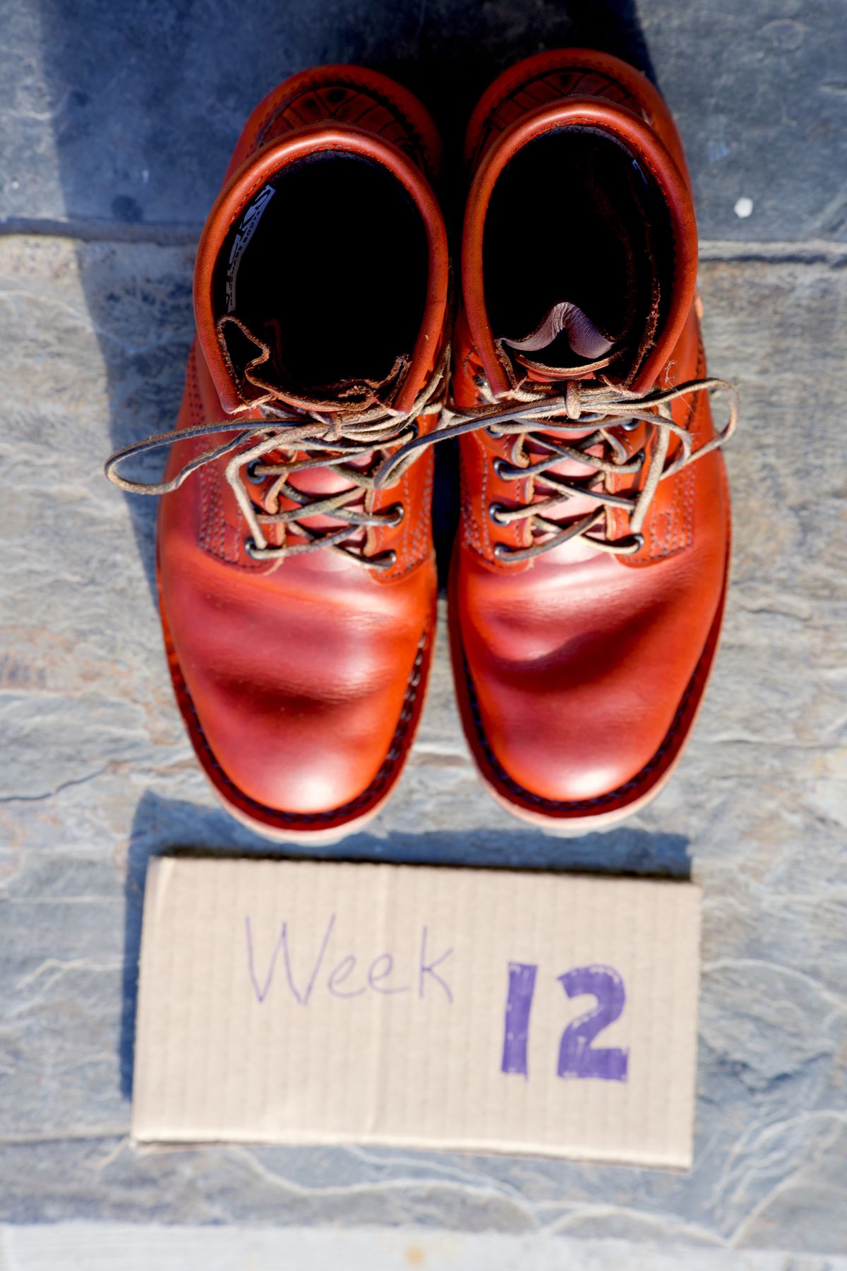 Photo by tr0n84 on December 23, 2025 of the Nicks MTO in Wickett & Craig DS Burnt Sienna.