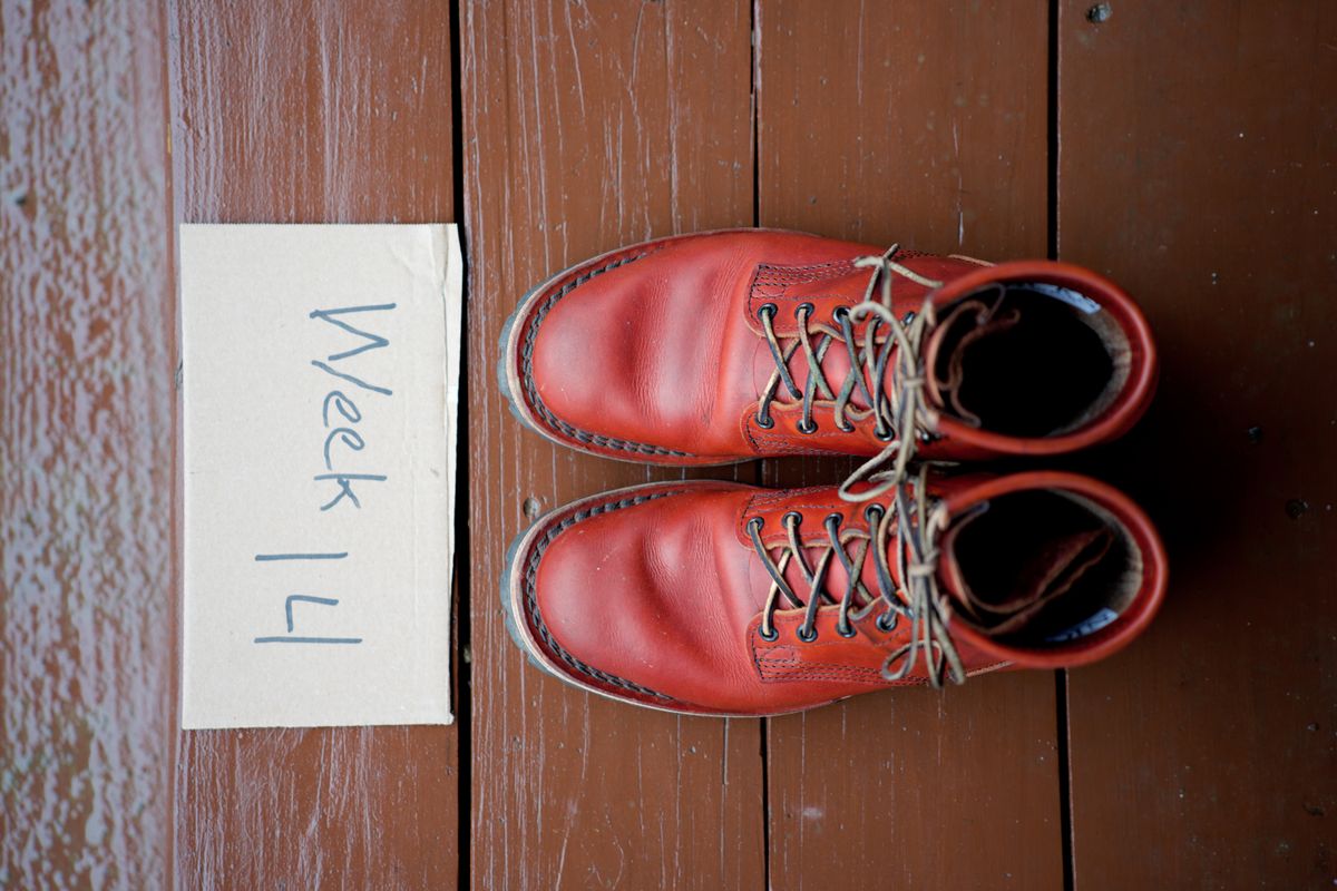 Photo by tr0n84 on January 5, 2026 of the Nicks MTO in Wickett & Craig DS Burnt Sienna.