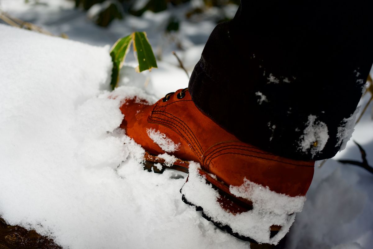 Photo by tr0n84 on January 29, 2026 of the Nicks MTO in Wickett & Craig DS Burnt Sienna.