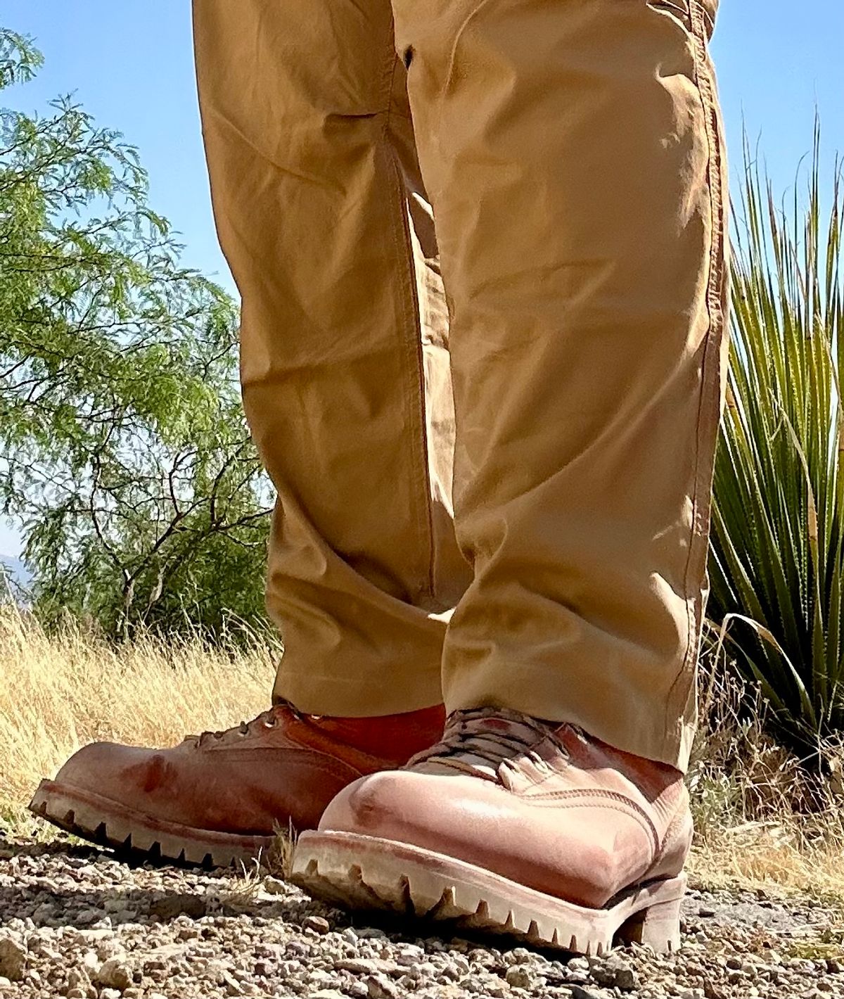 Photo by BigandTall_Times on March 28, 2026 of the Nicks MTO in Horween English Tan Dublin.