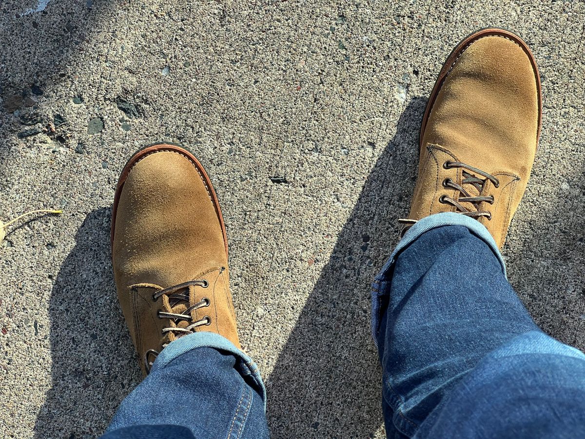 Photo by beerdlife on October 24, 2025 of the Red Wing Merchant in S.B. Foot Olive Mohave Roughout.