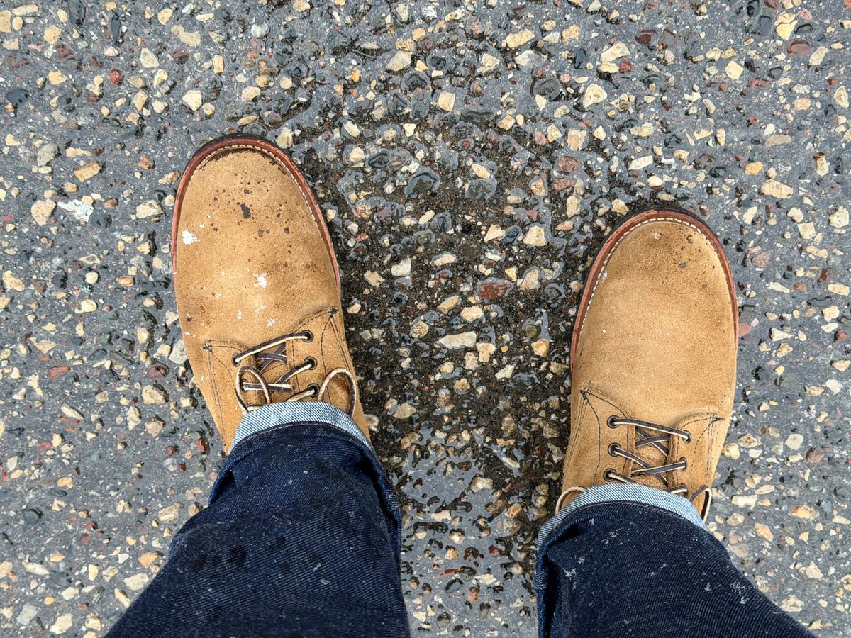 Photo by beerdlife on March 12, 2026 of the Red Wing Merchant in S.B. Foot Olive Mohave Roughout.