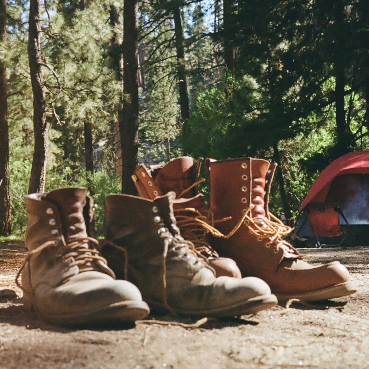 Photo by corbusier on July 2, 2024 of the Red Wing Iron Ranger in S.B. Foot Copper Rough and Tough.