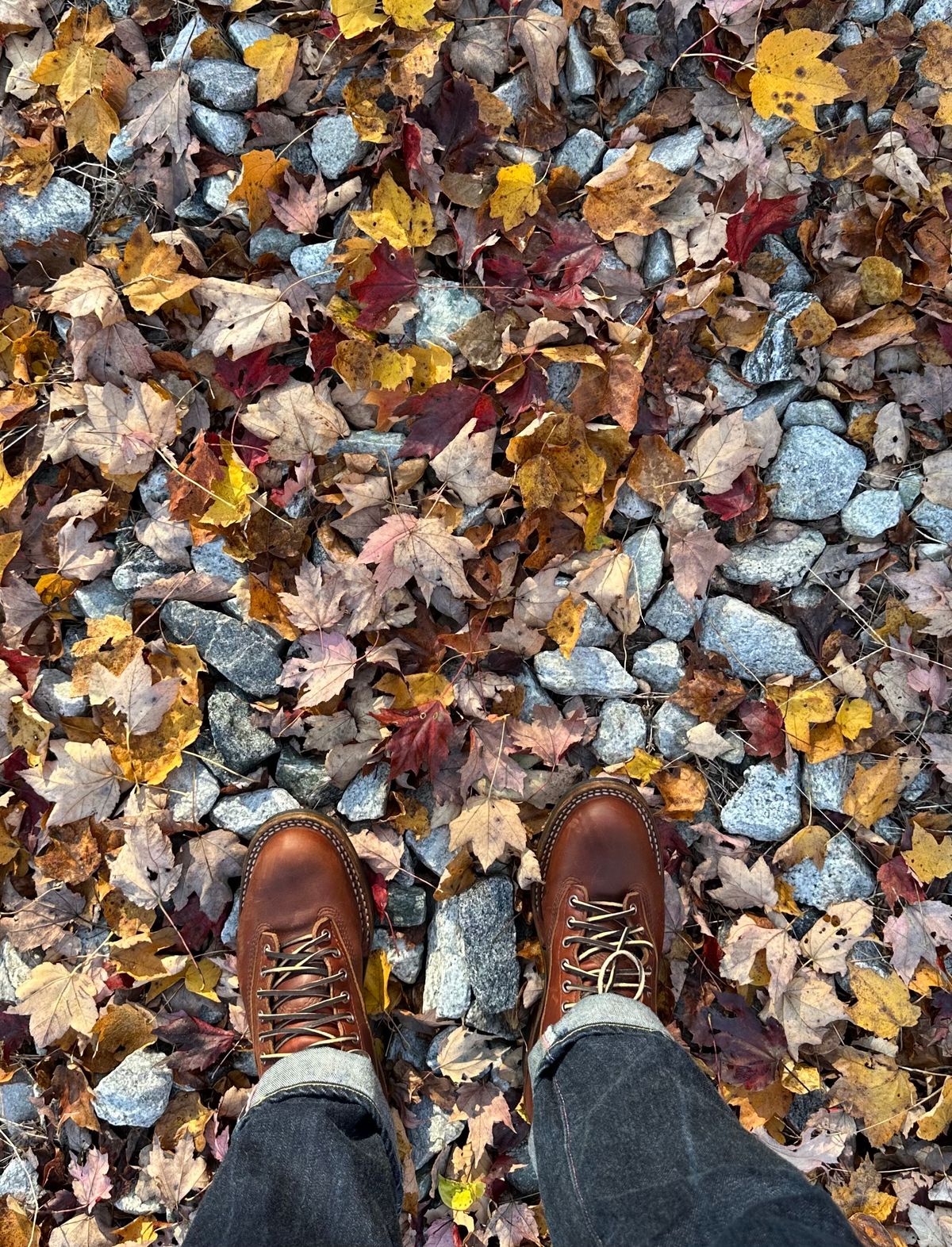 Photo by corbusier on October 25, 2025 of the White's C350 Cutter in Seidel British Tan Double Shot.