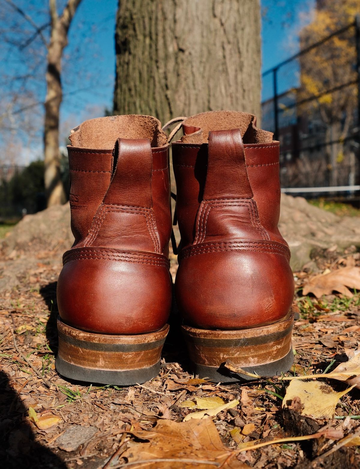 Photo by corbusier on December 3, 2025 of the White's C350 Cutter in Seidel British Tan Double Shot.