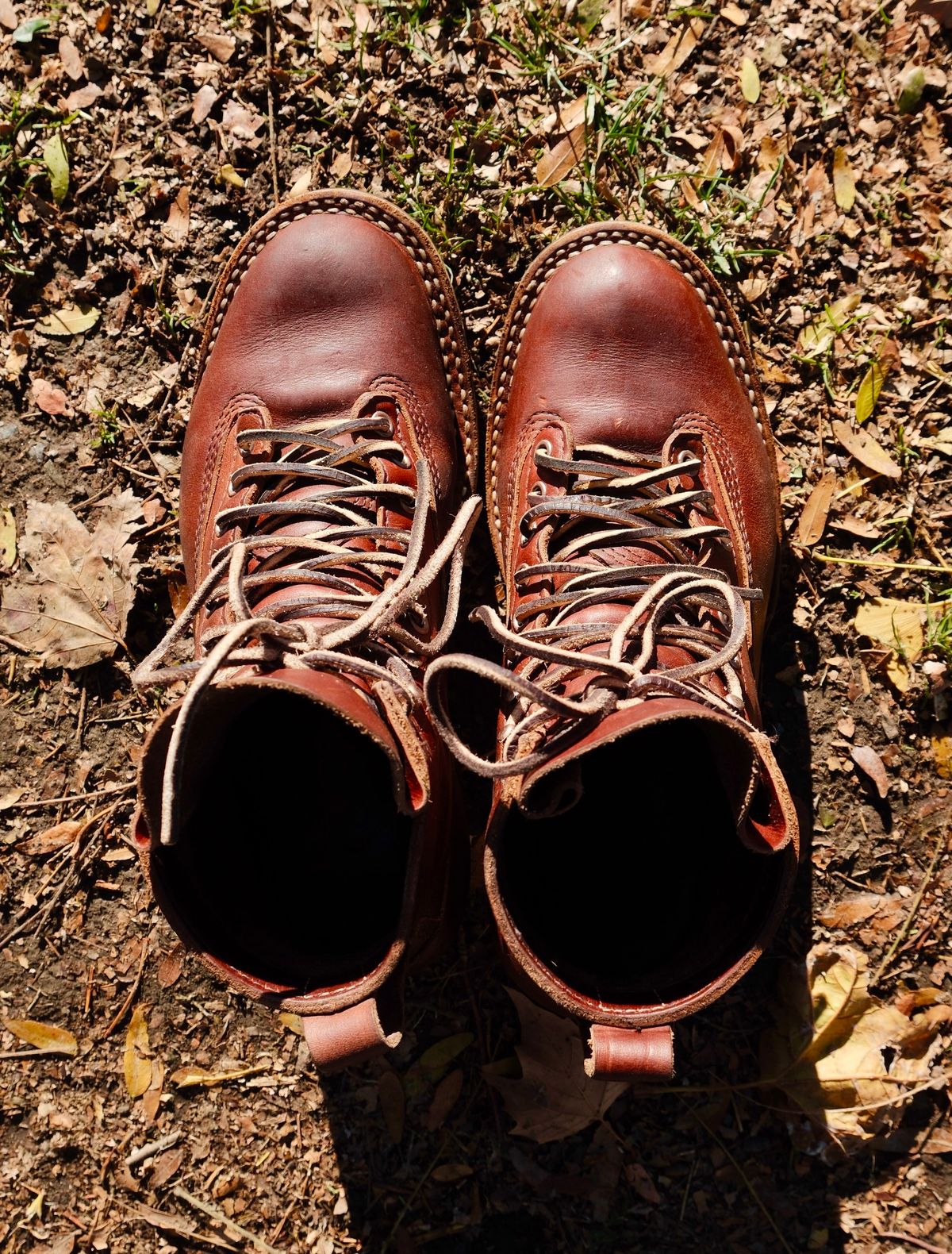 Photo by corbusier on December 3, 2025 of the White's C350 Cutter in Seidel British Tan Double Shot.