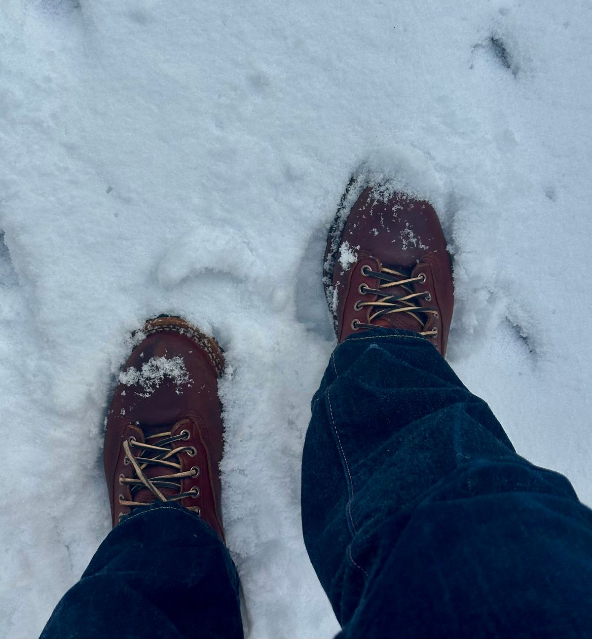 Photo by corbusier on December 14, 2025 of the White's C350 Cutter in Seidel British Tan Double Shot.