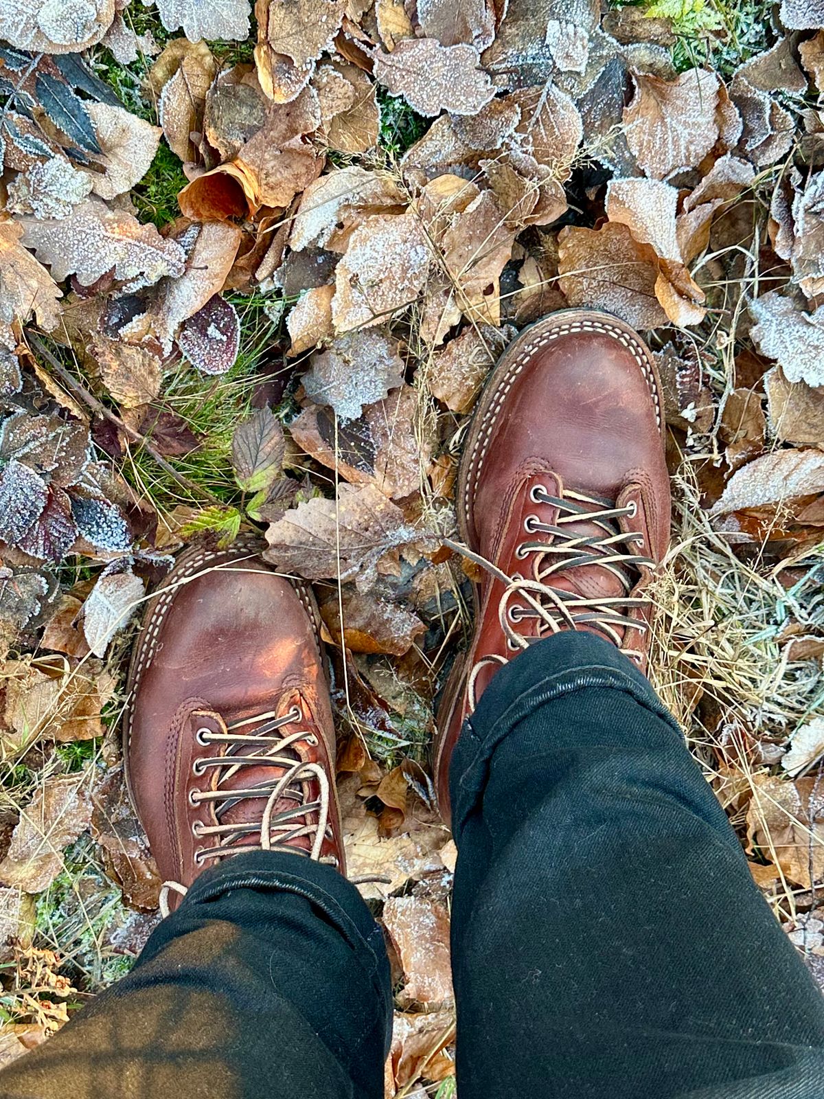 Photo by corbusier on December 26, 2025 of the White's C350 Cutter in Seidel British Tan Double Shot.