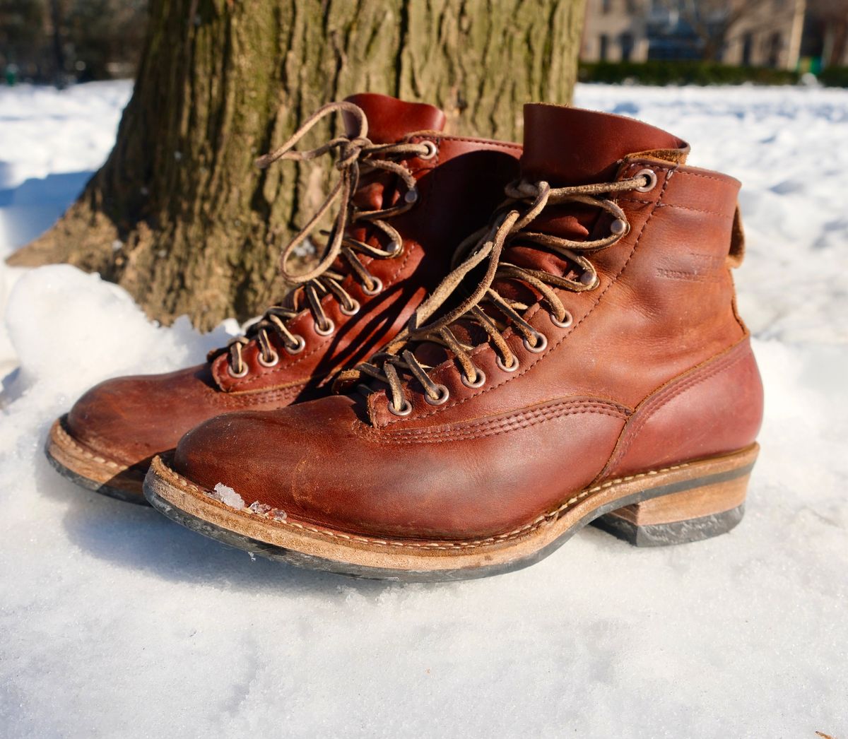 Photo by corbusier on February 6, 2026 of the White's C350 Cutter in Seidel British Tan Double Shot.