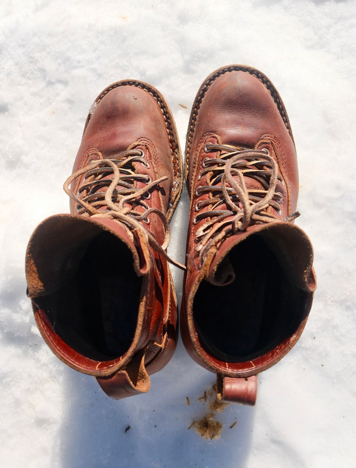 Photo by corbusier on February 6, 2026 of the White's C350 Cutter in Seidel British Tan Double Shot.