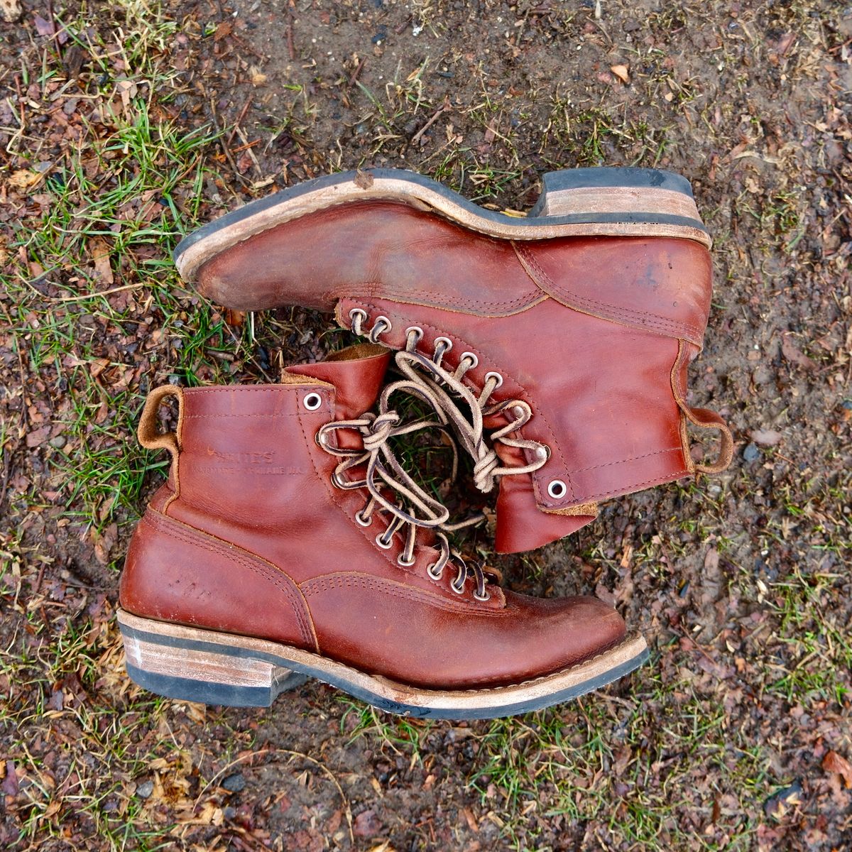 Photo by corbusier on March 4, 2026 of the White's C350 Cutter in Seidel British Tan Double Shot.