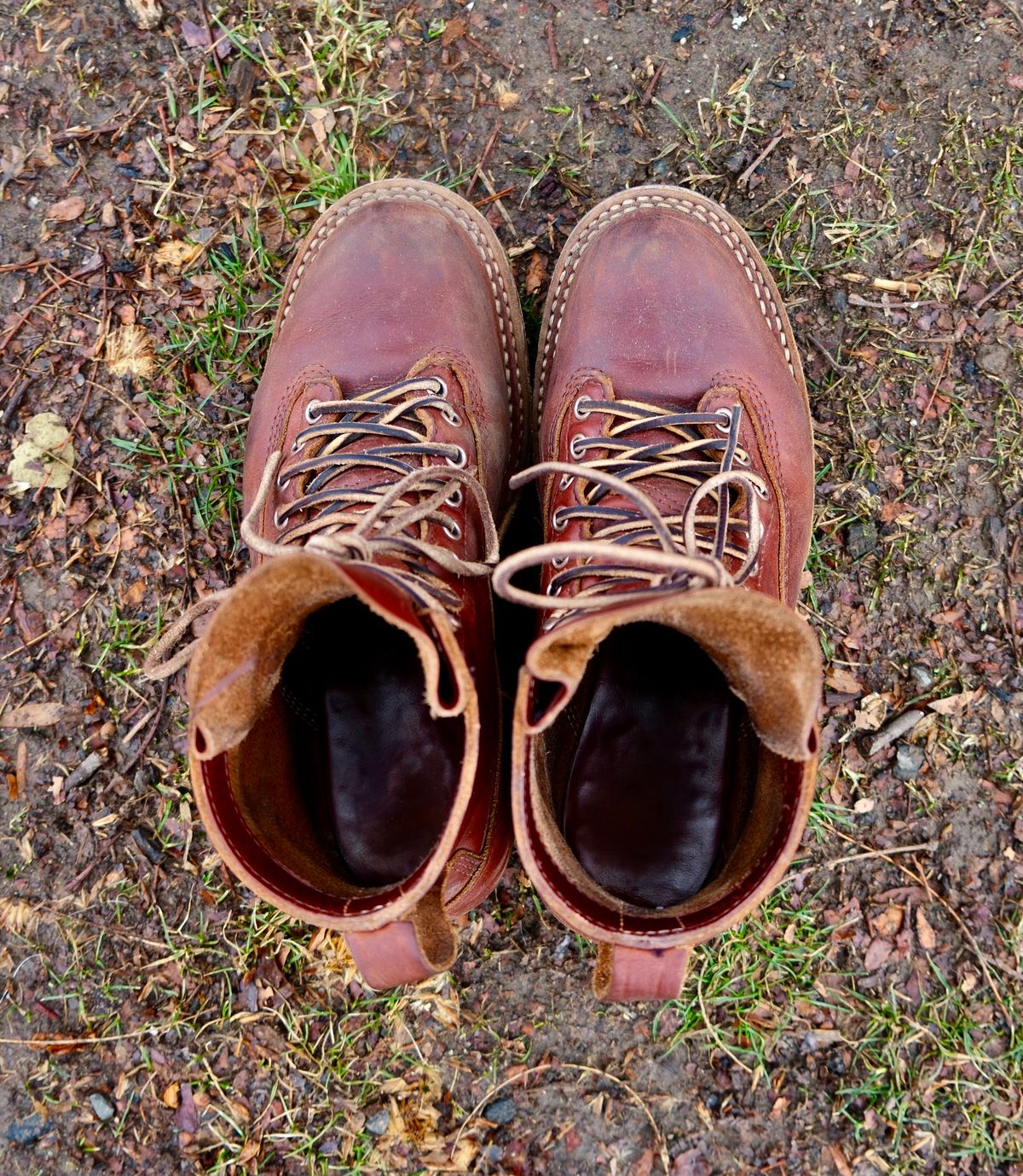 Photo by corbusier on March 4, 2026 of the White's C350 Cutter in Seidel British Tan Double Shot.