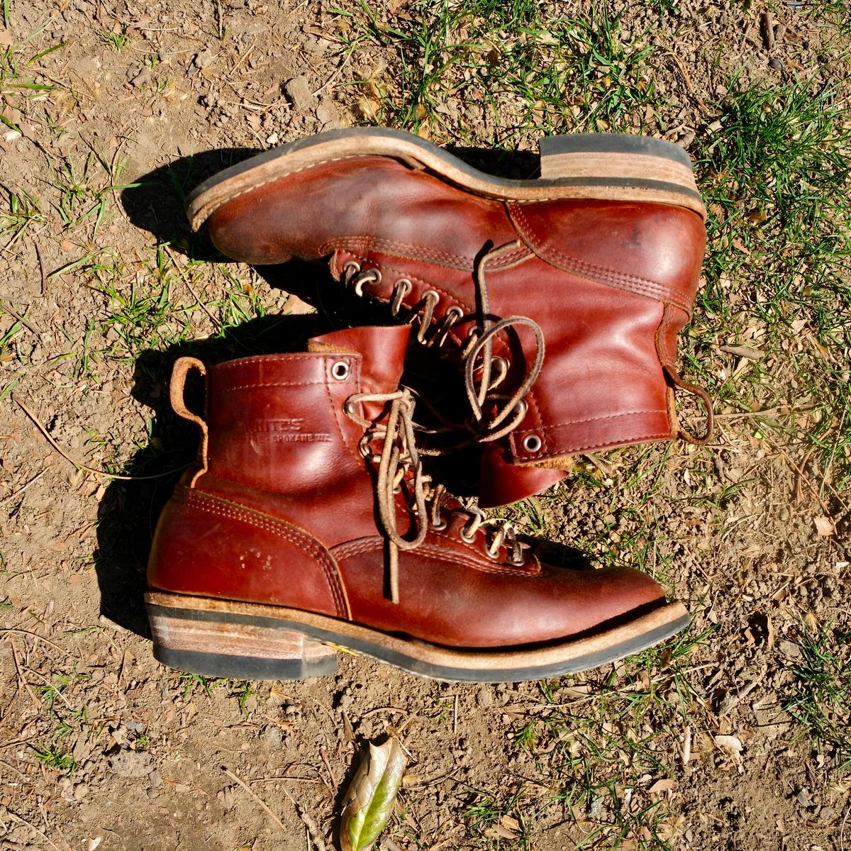 Photo by corbusier on March 29, 2026 of the White's C350 Cutter in Seidel British Tan Double Shot.