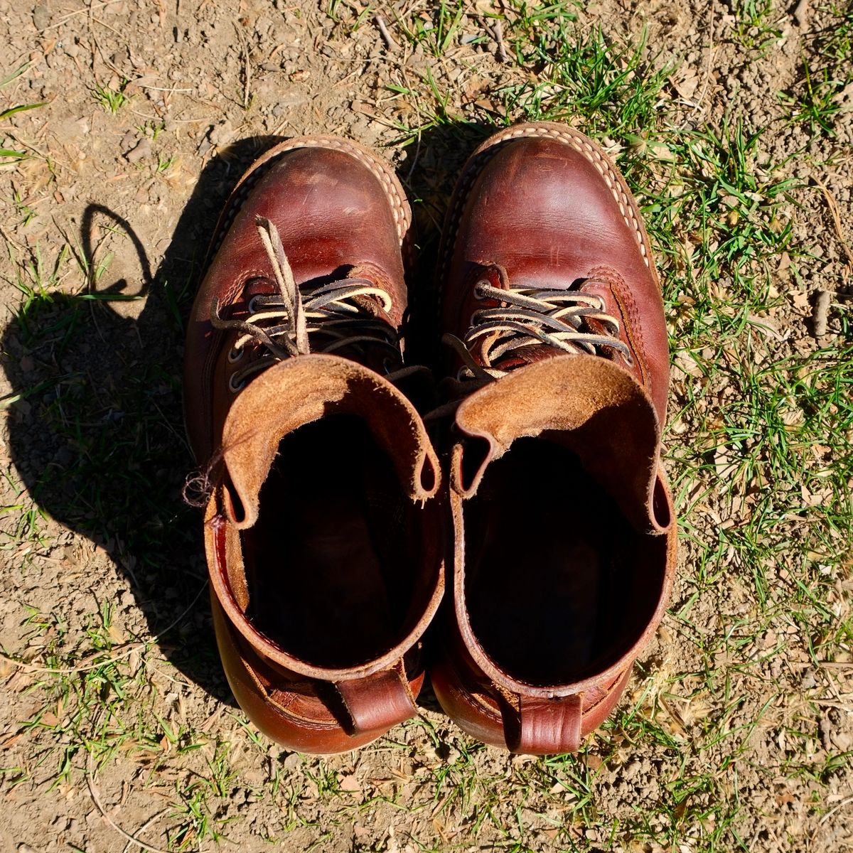 Photo by corbusier on March 29, 2026 of the White's C350 Cutter in Seidel British Tan Double Shot.