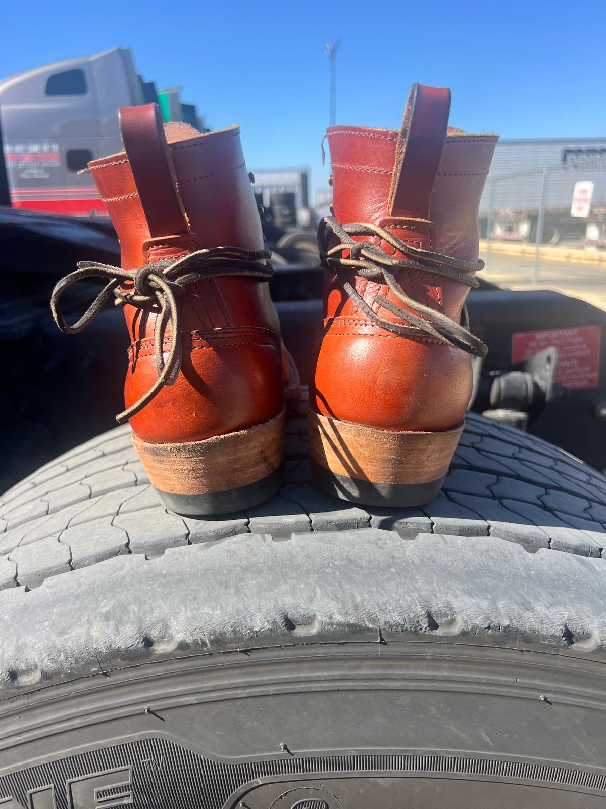 Photo by NyNole on November 3, 2025 of the Nicks Robert in Wickett & Craig Tan Oiled Latigo.