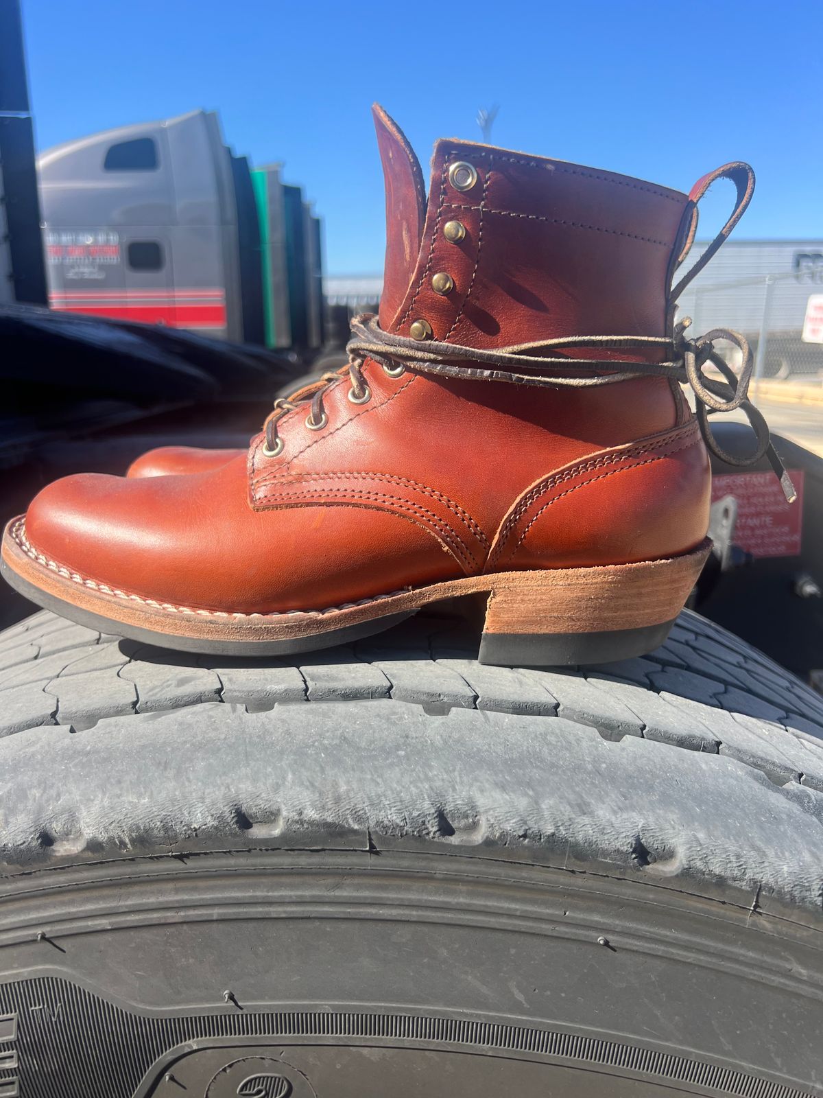 Photo by NyNole on November 3, 2025 of the Nicks Robert in Wickett & Craig Tan Oiled Latigo.