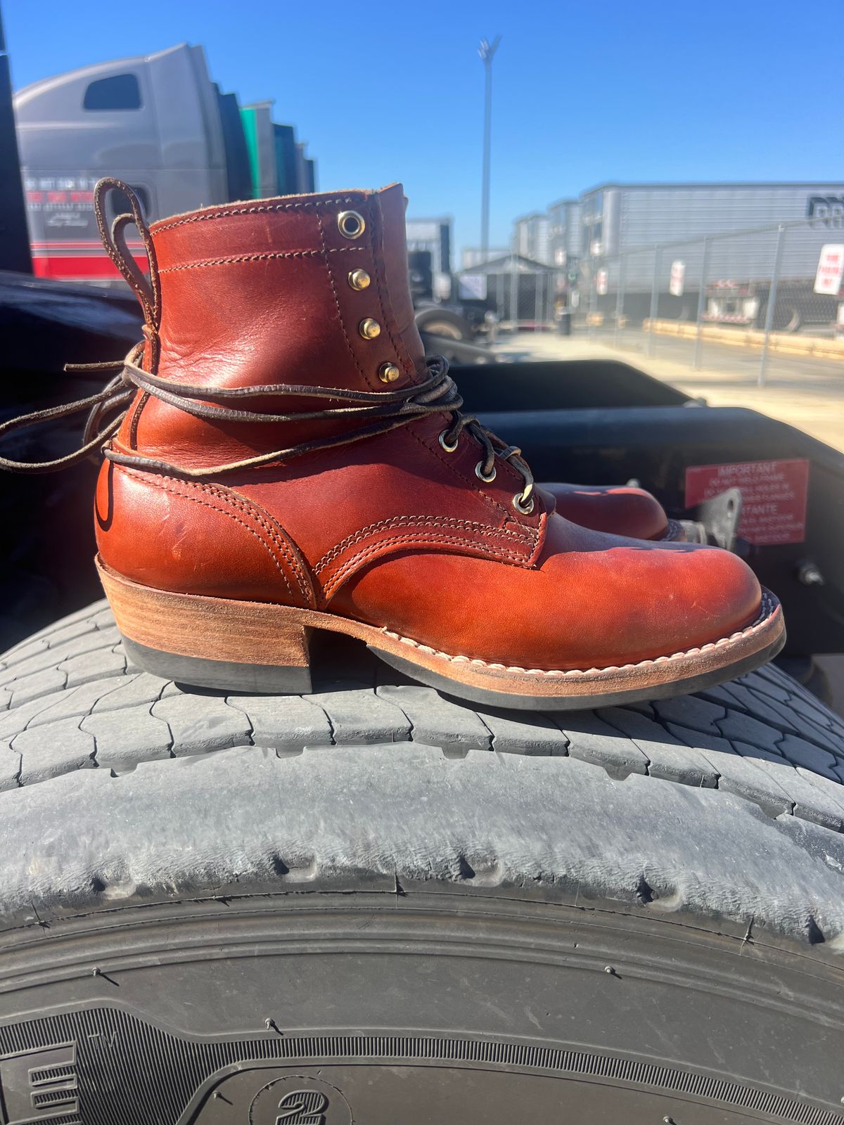 Photo by NyNole on November 3, 2025 of the Nicks Robert in Wickett & Craig Tan Oiled Latigo.