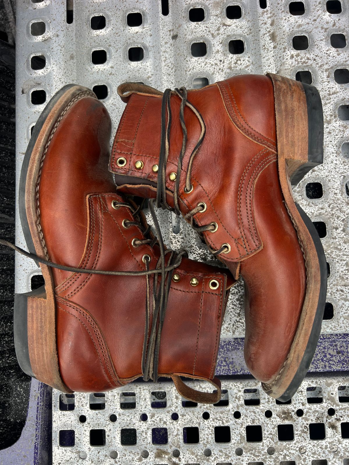 Photo by NyNole on January 5, 2026 of the Nicks Robert in Wickett & Craig Tan Oiled Latigo.