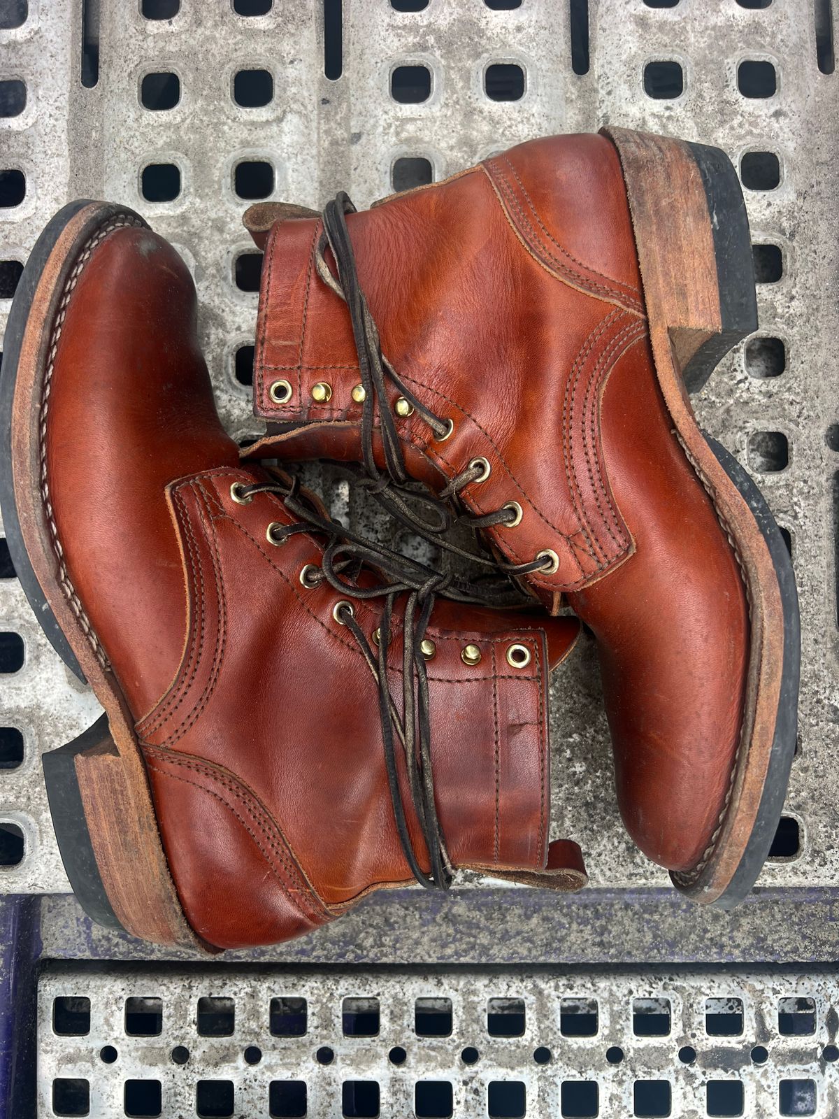 Photo by NyNole on February 5, 2026 of the Nicks Robert in Wickett & Craig Tan Oiled Latigo.