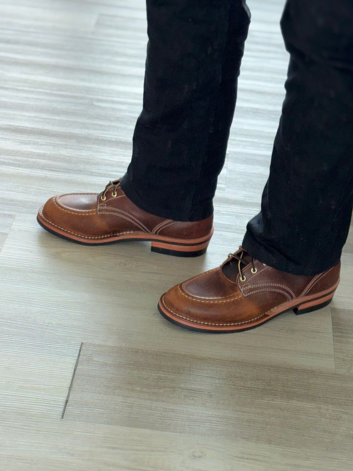 Photo by ValArb on April 14, 2026 of the Nicks MTO in Italian Brown Cypress.