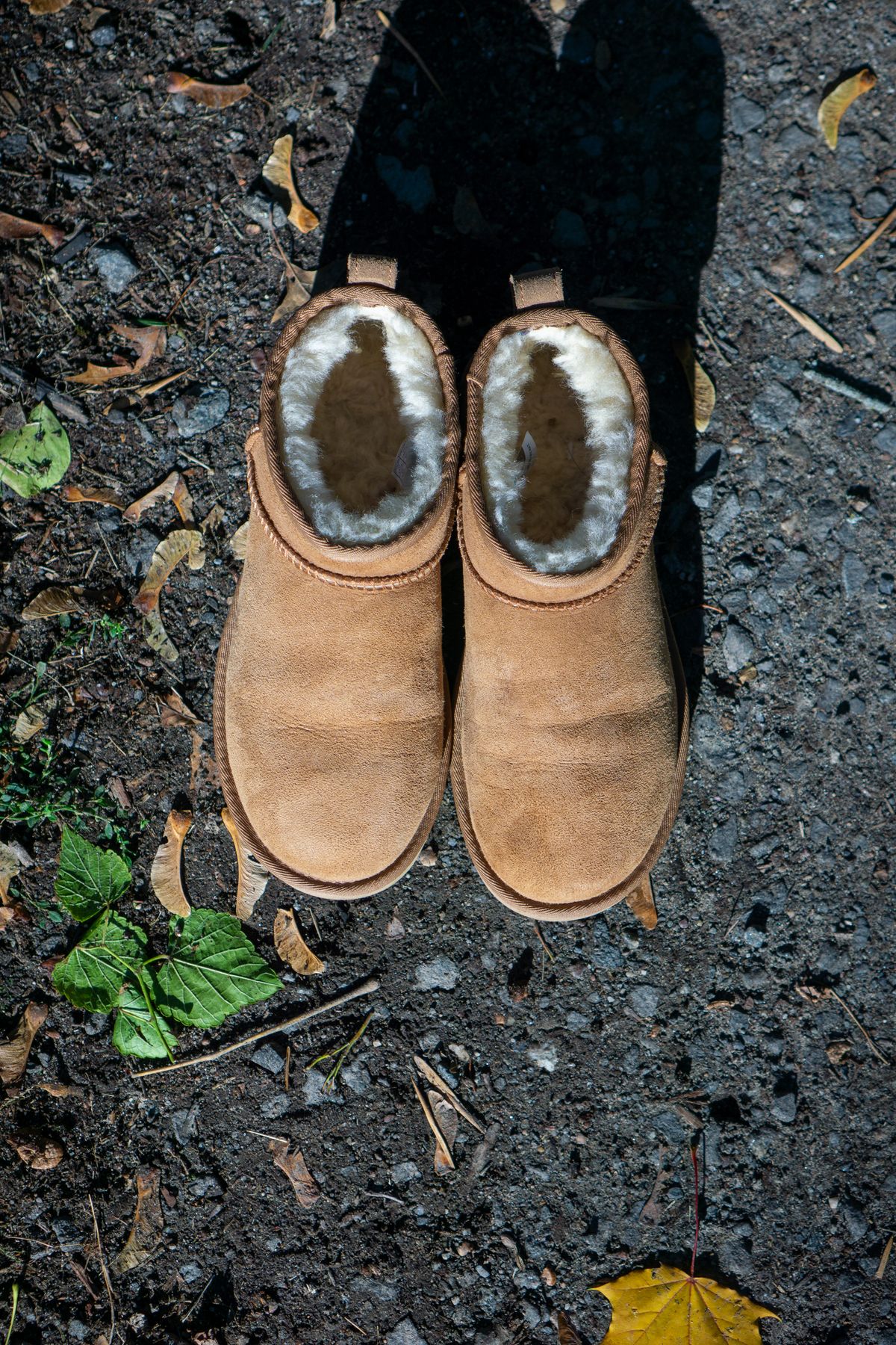 Photo by Barbaq on November 1, 2025 of the Ugg Classic Ultra Mini in Chestnut Sheepskin.