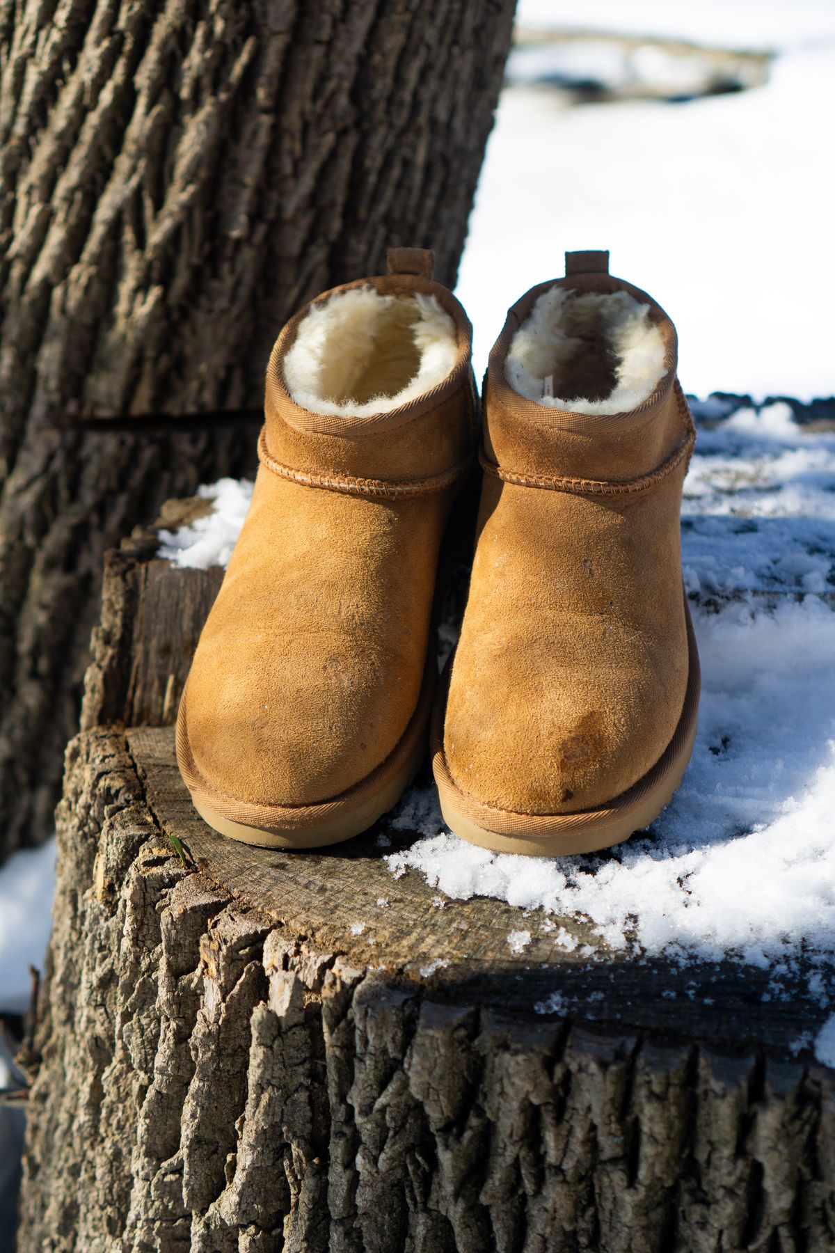 Photo by Barbaq on February 4, 2026 of the Ugg Classic Ultra Mini in Chestnut Sheepskin.