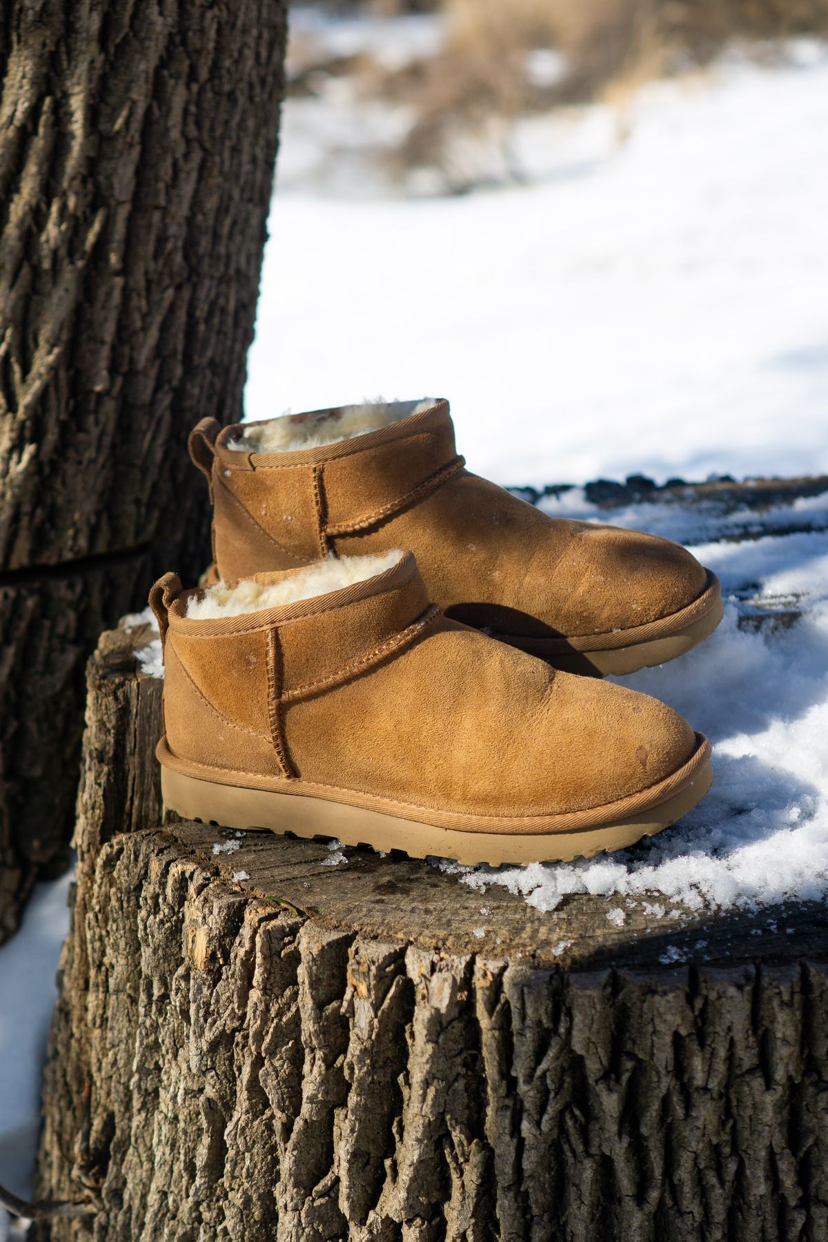 Photo by Barbaq on February 4, 2026 of the Ugg Classic Ultra Mini in Chestnut Sheepskin.