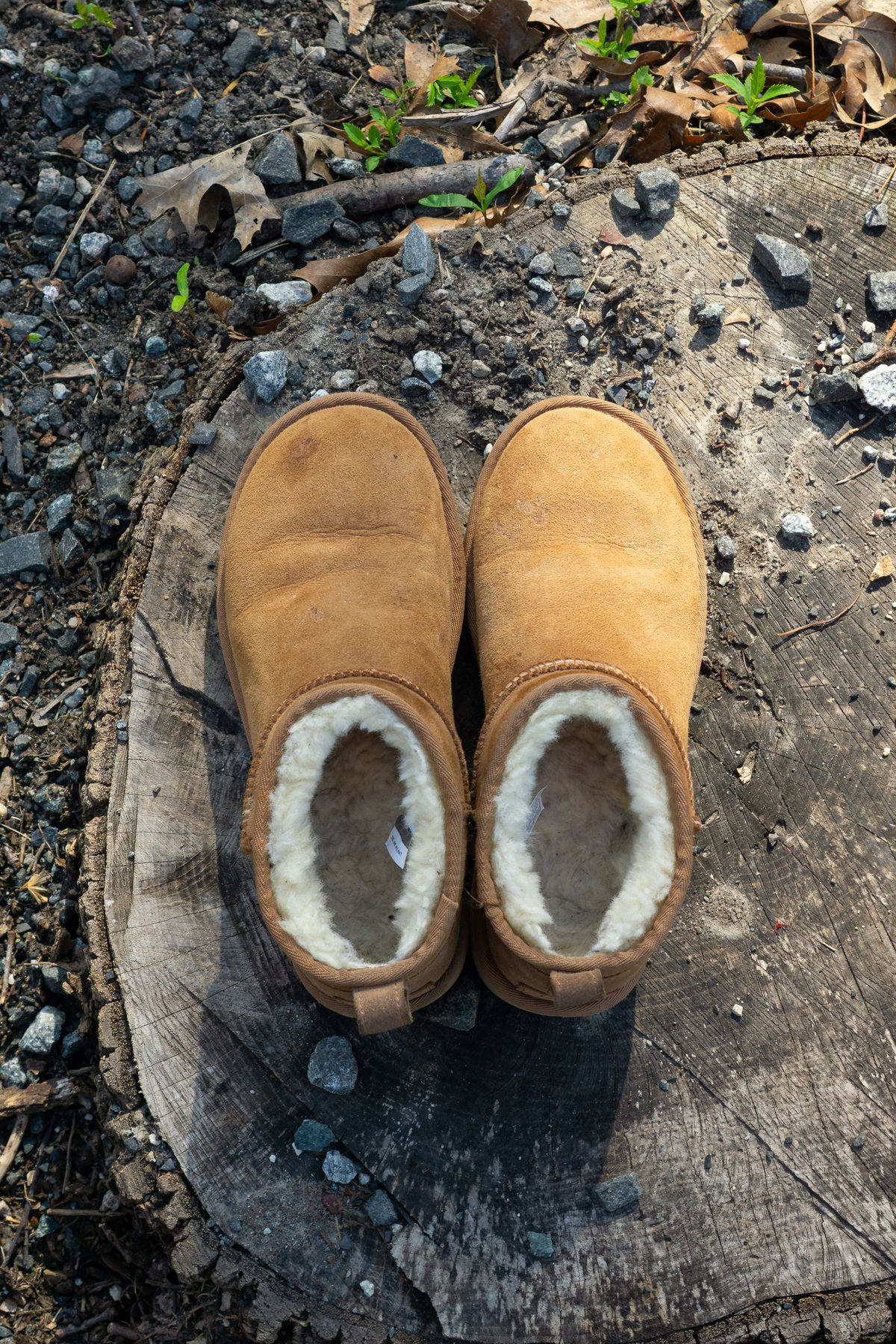Photo by Barbaq on April 4, 2026 of the Ugg Classic Ultra Mini in Chestnut Sheepskin.