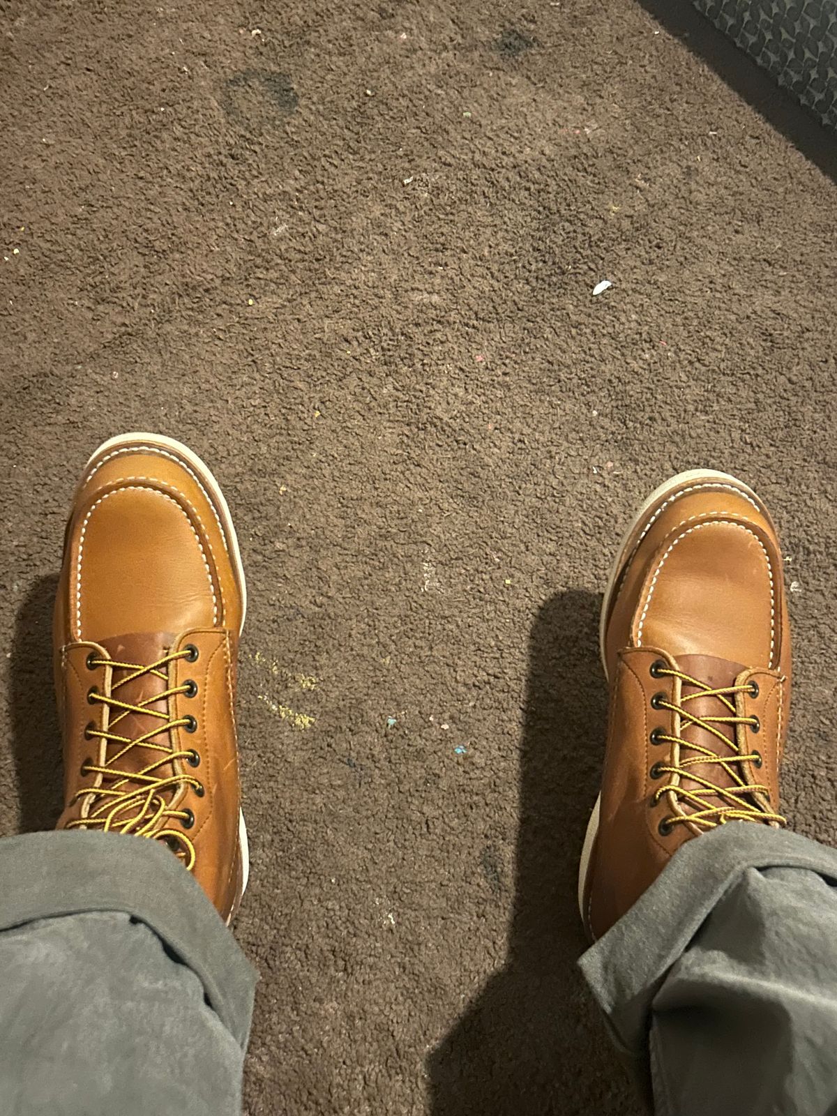 Photo by sleeps on October 4, 2025 of the Red Wing 10877 in S.B. Foot Oro-Iginal.